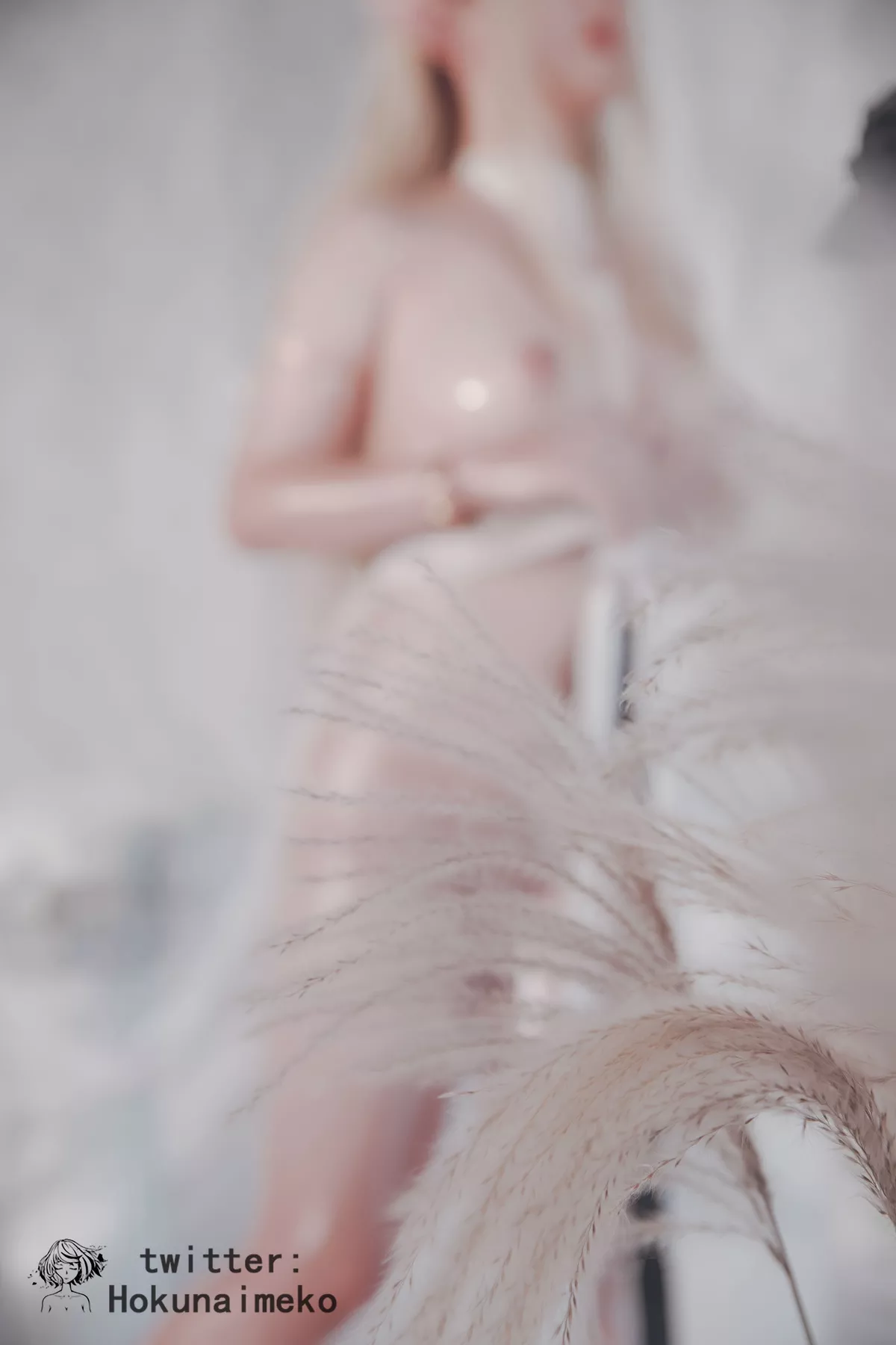 私拍 �兽_ 风韵 尤物 Hokunaimeko Cosplay