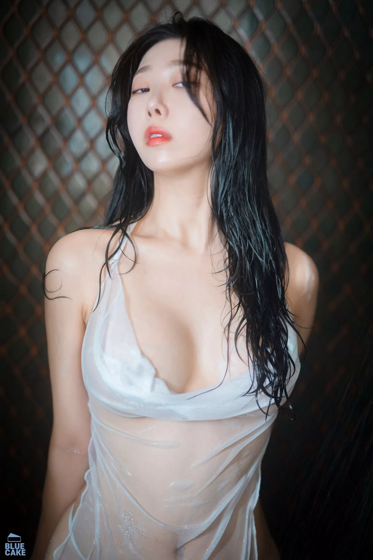 Shaany【BLUECAKE 南韩 丽人 全集修正 写真 Wet 蓝色蛋糕】