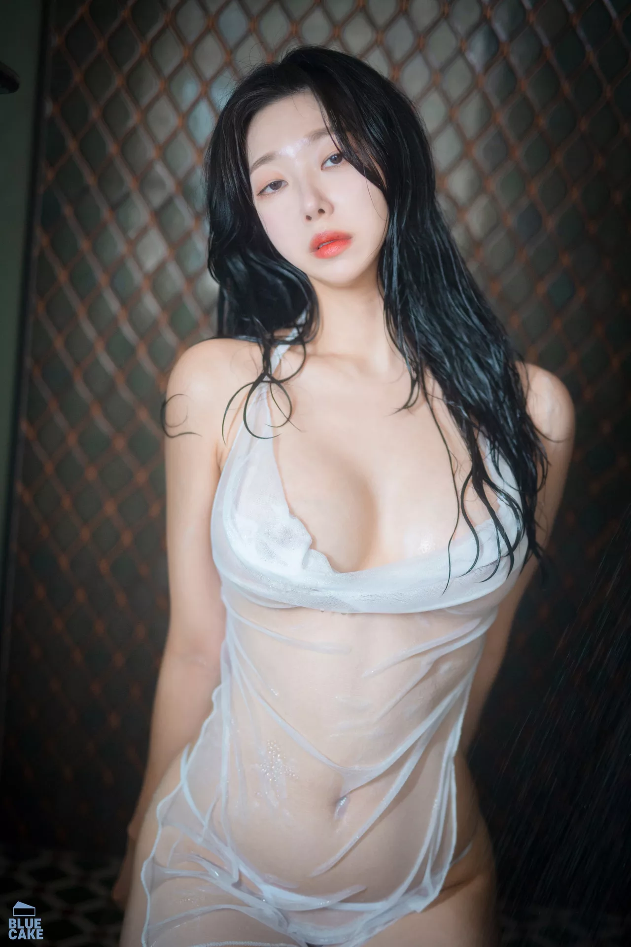 Shaany【BLUECAKE 南韩 丽人 全集修正 写真 Wet 蓝色蛋糕】