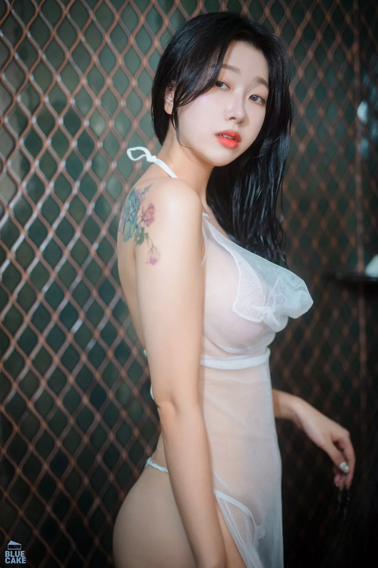 Shaany【BLUECAKE 南韩 丽人 全集修正 写真 Wet 蓝色蛋糕】