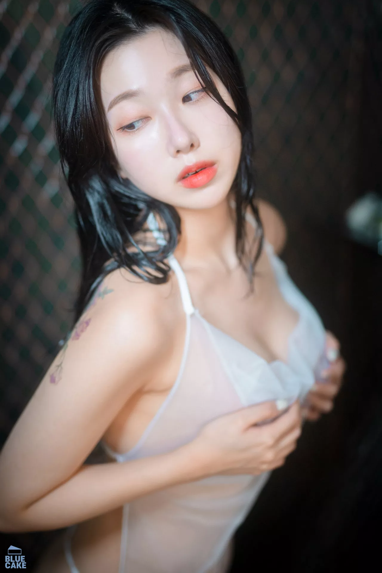 Shaany【BLUECAKE 南韩 丽人 全集修正 写真 Wet 蓝色蛋糕】