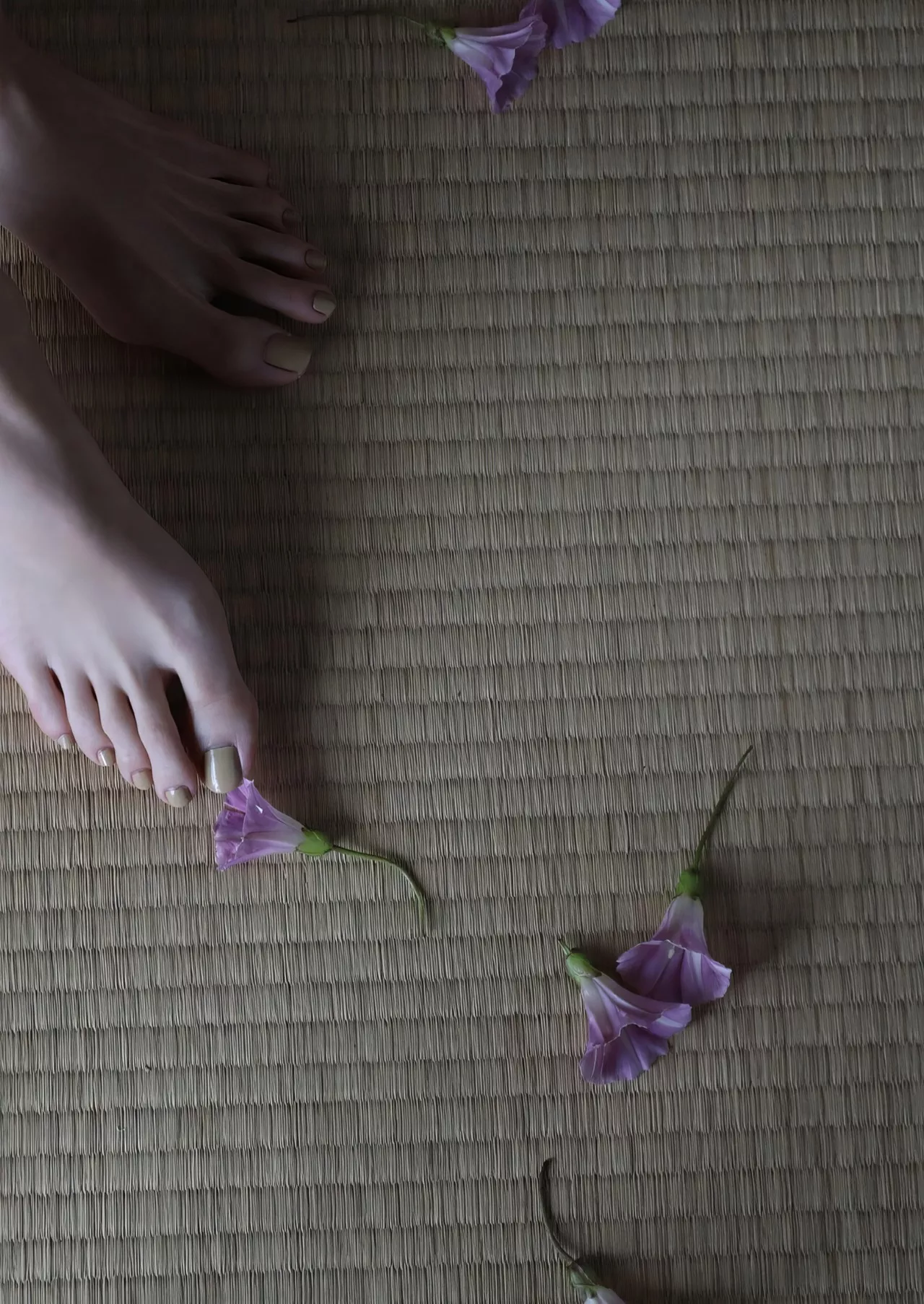 Takeda 【Geranium】 全集修正 Rena 武田玲奈写真集