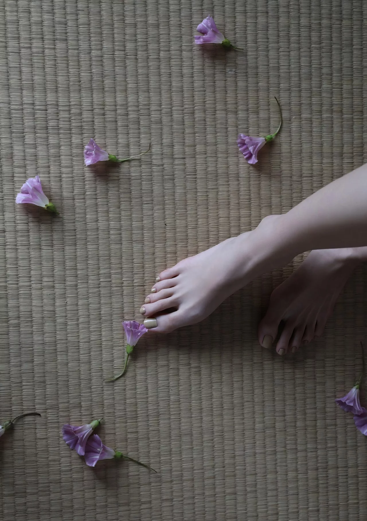 Takeda 【Geranium】 全集修正 Rena 武田玲奈写真集
