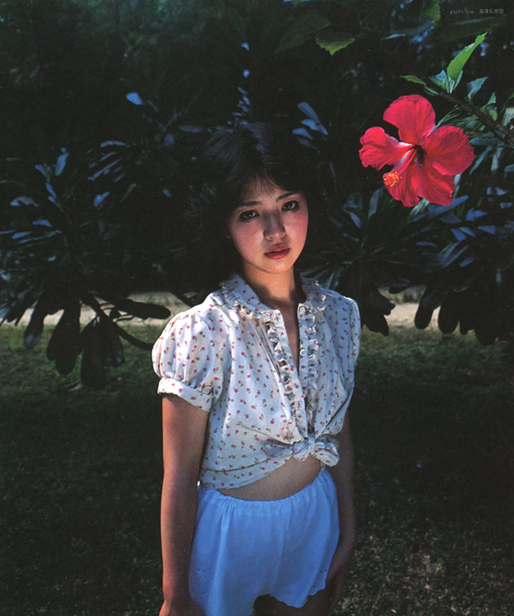 尤物 1982.5 精选 日本 浜田朱里《わらって》 高清艺术艺术图