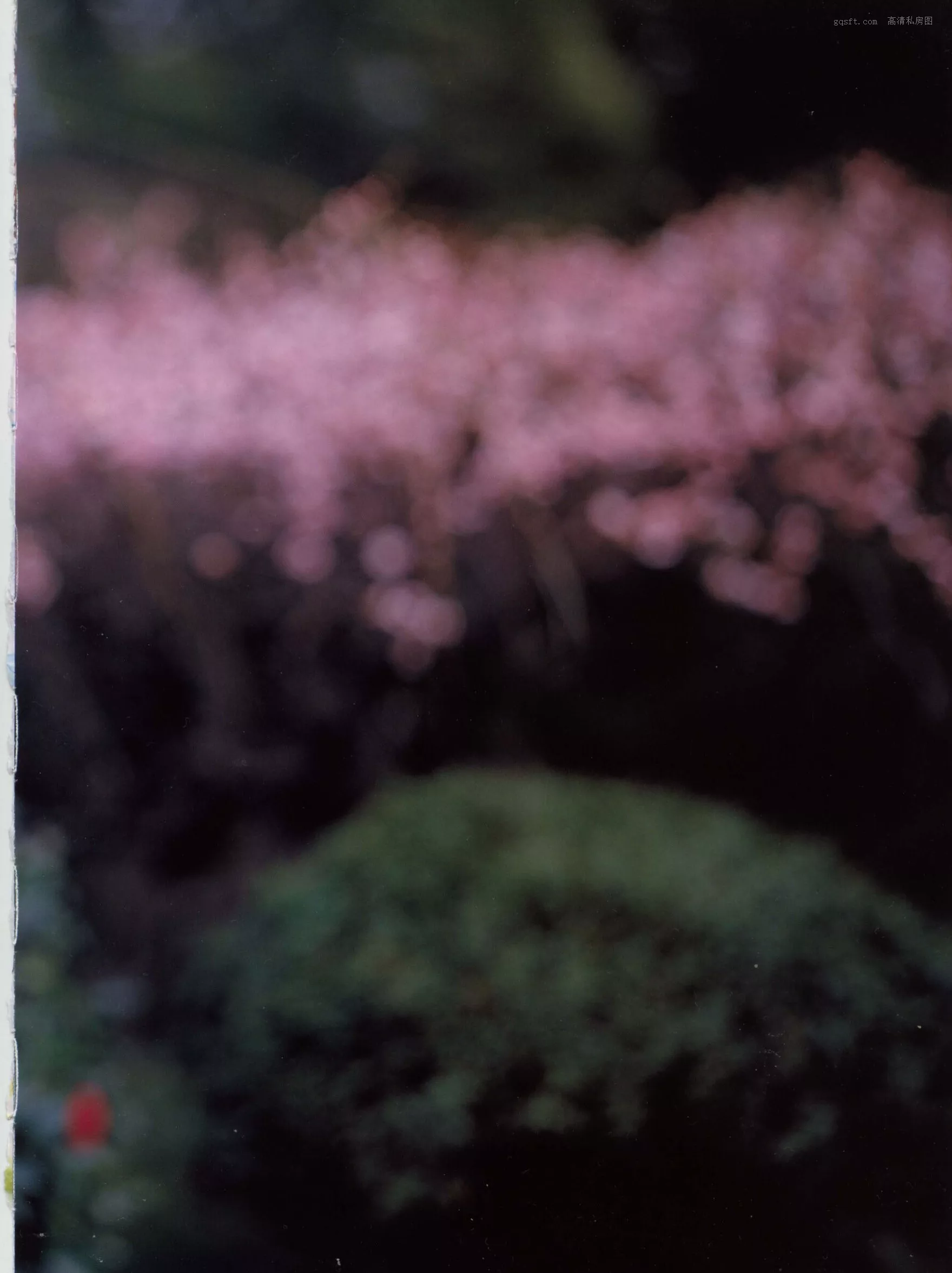 精选 超清写真摄影 2002.12 八人の汤 日本 女神