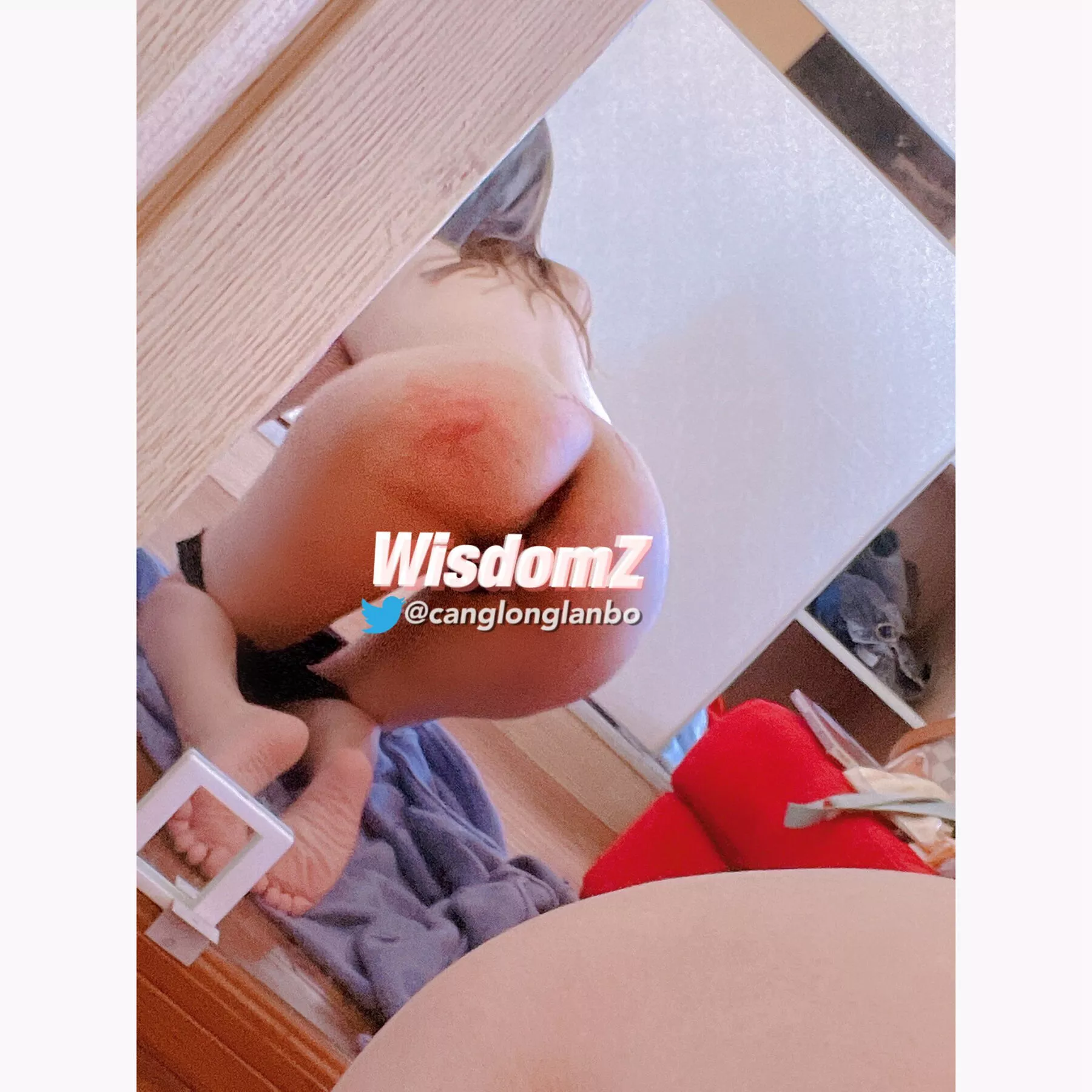 WISDOMZ 收集 微博 优秀写真美图 福利姬 作品