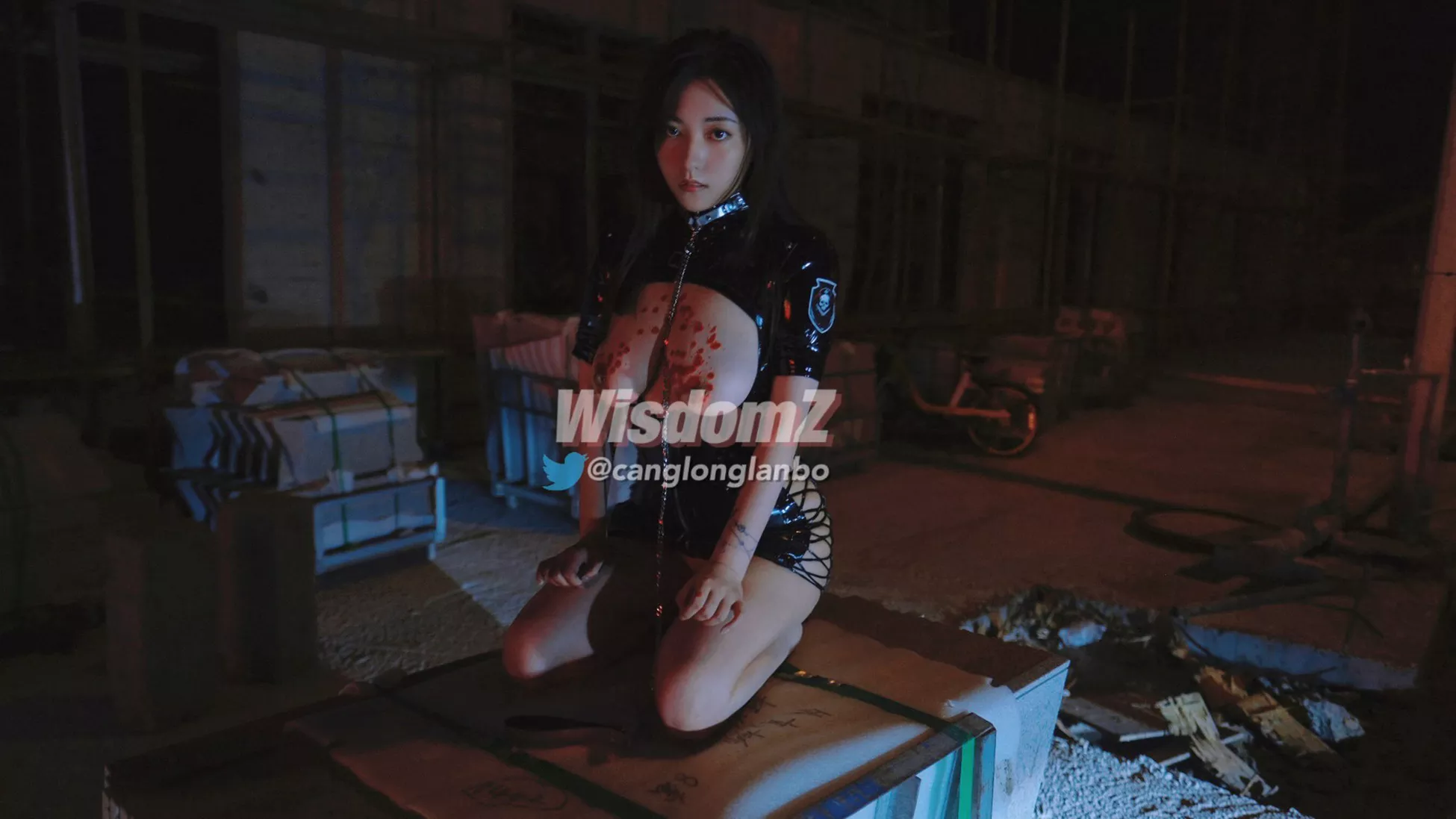 WISDOMZ 收集 微博 优秀写真美图 福利姬 作品