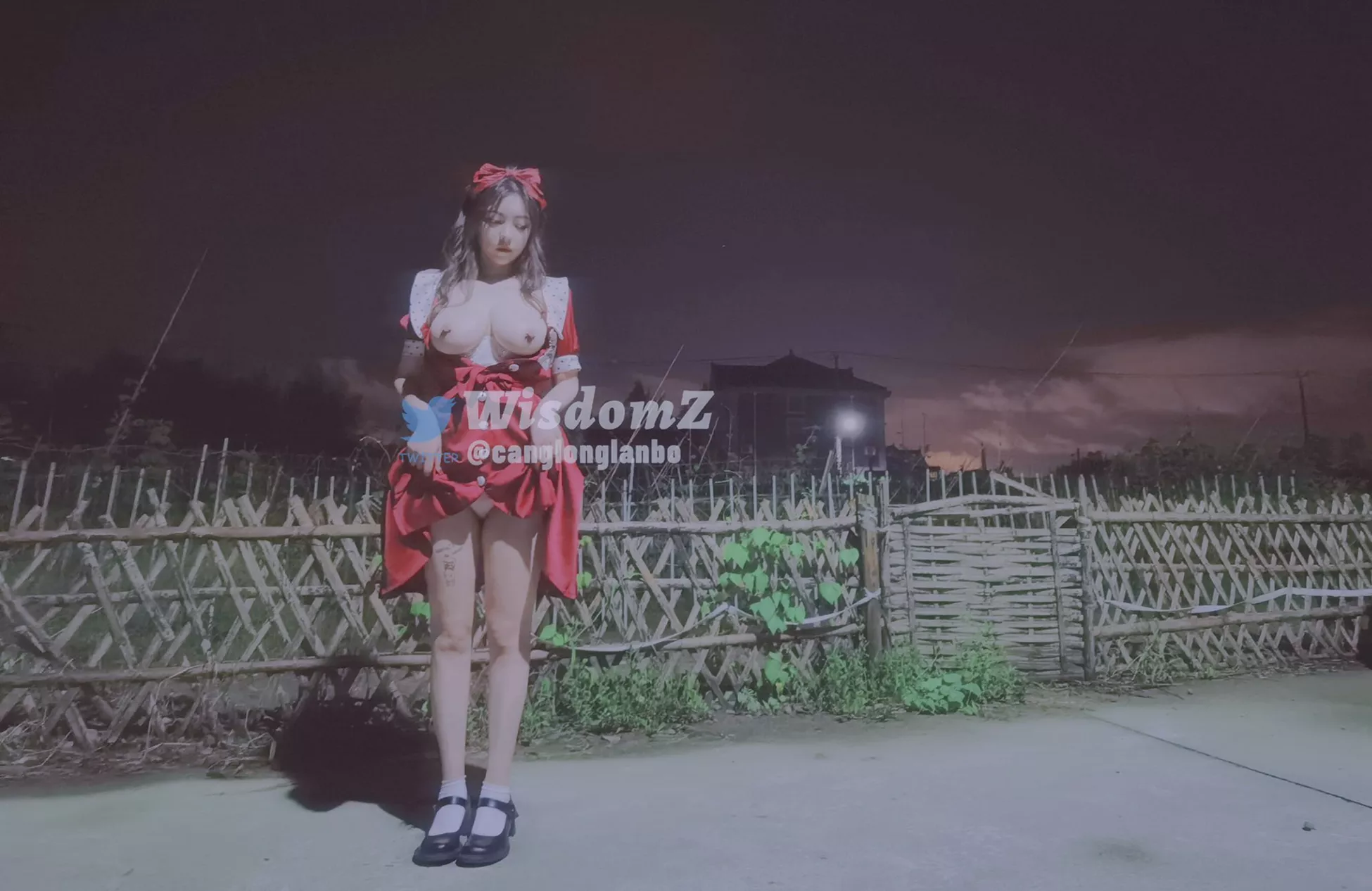 WISDOMZ 收集 微博 优秀写真美图 福利姬 作品