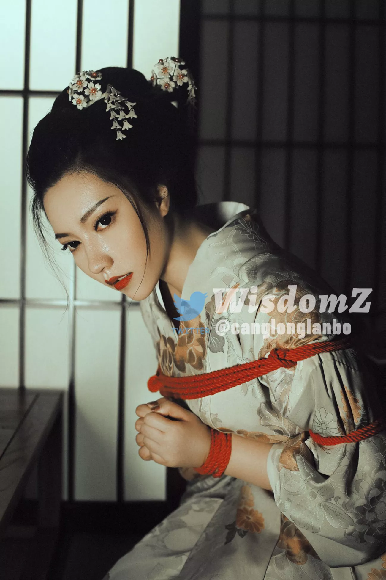 WISDOMZ 收集 微博 优秀写真美图 福利姬 作品