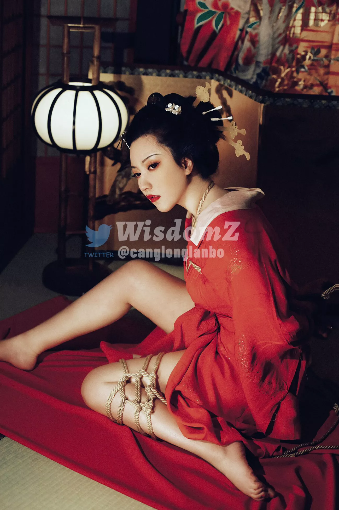 WISDOMZ 收集 微博 优秀写真美图 福利姬 作品
