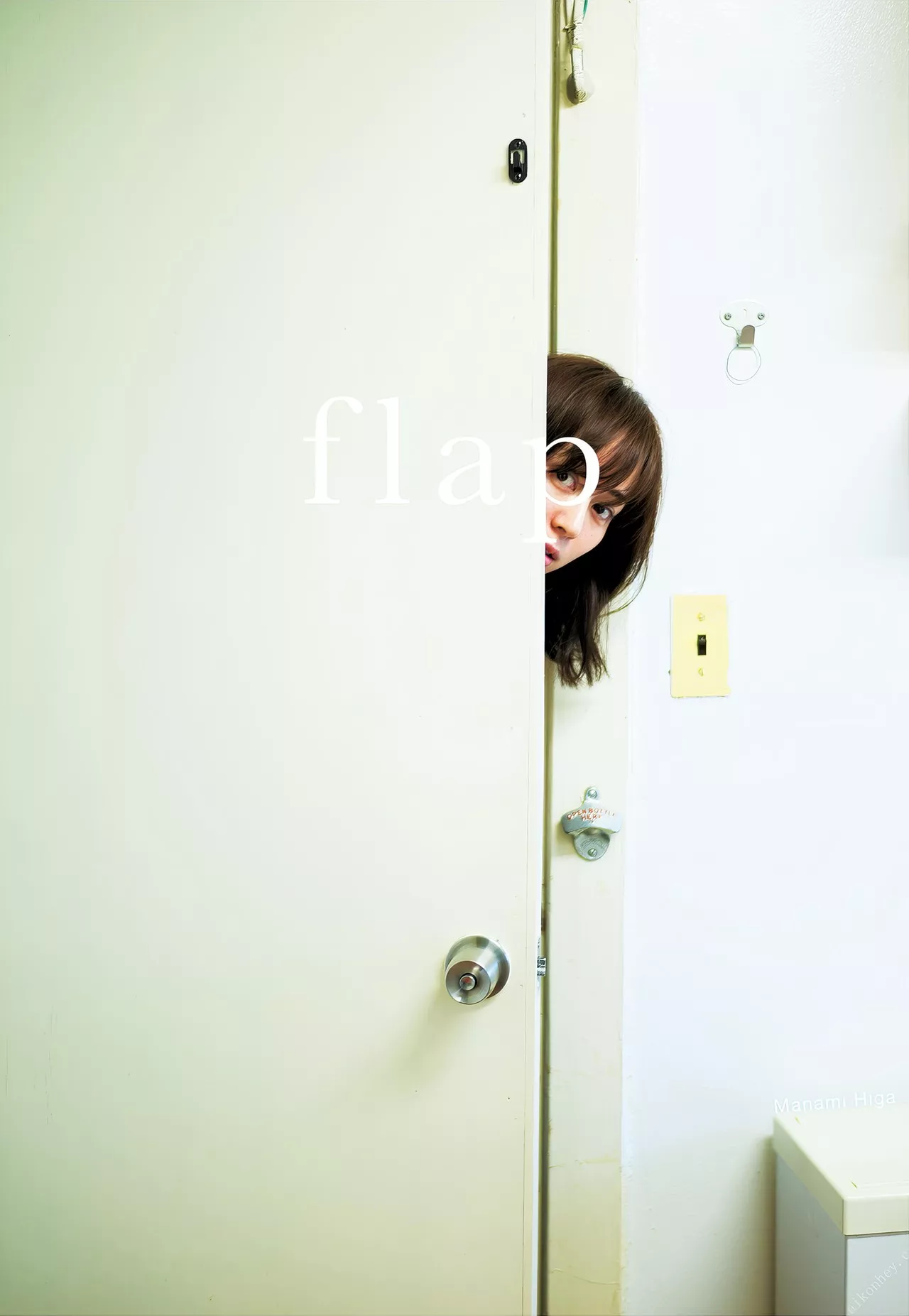 【Flap】 Higa 全集修正 Manami 比嘉爱未艺术图集
