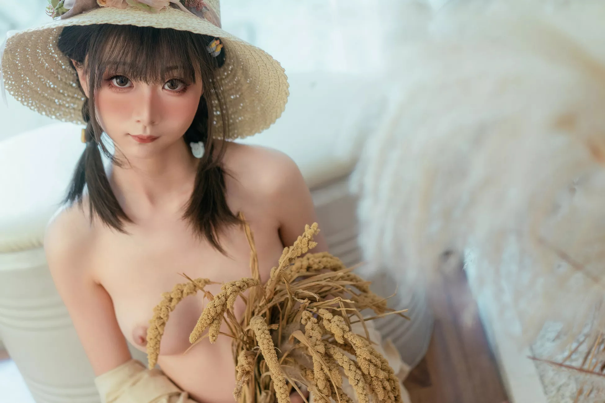 金鱼 高品质像片套图 kinngyo《蒹葭》