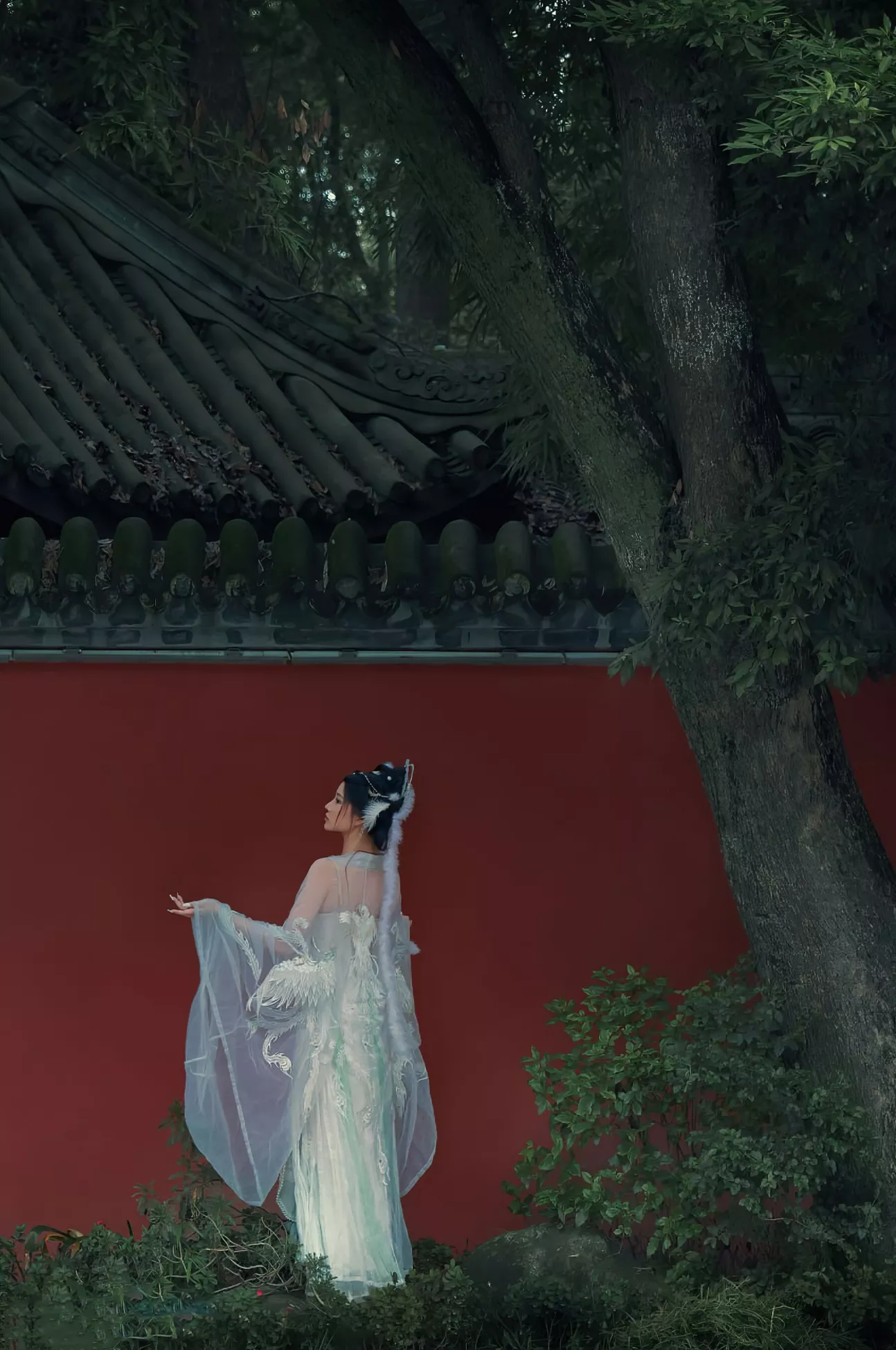 高清写真套图 《嫦娥仙子》 年年