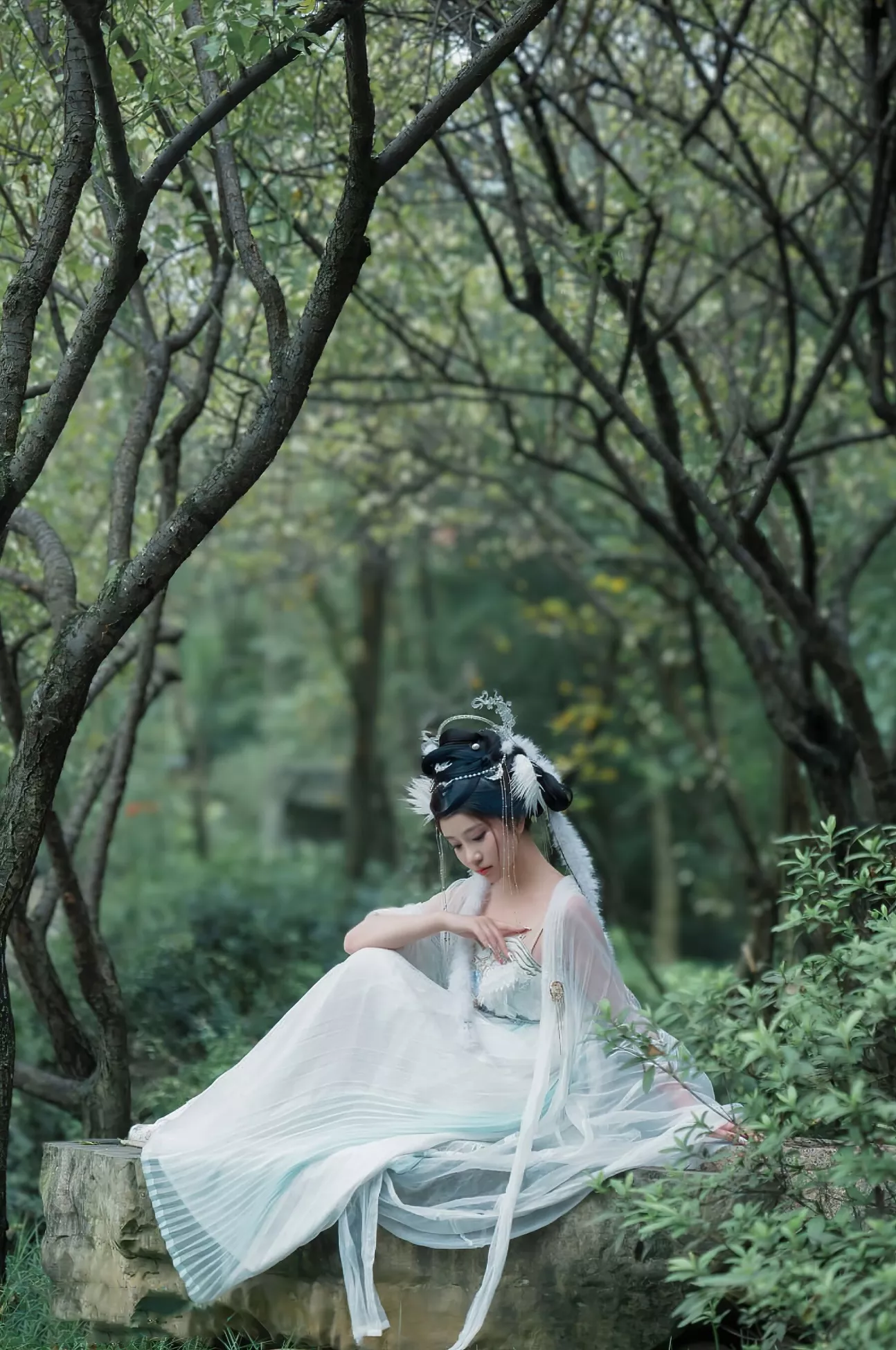 高清写真套图 《嫦娥仙子》 年年