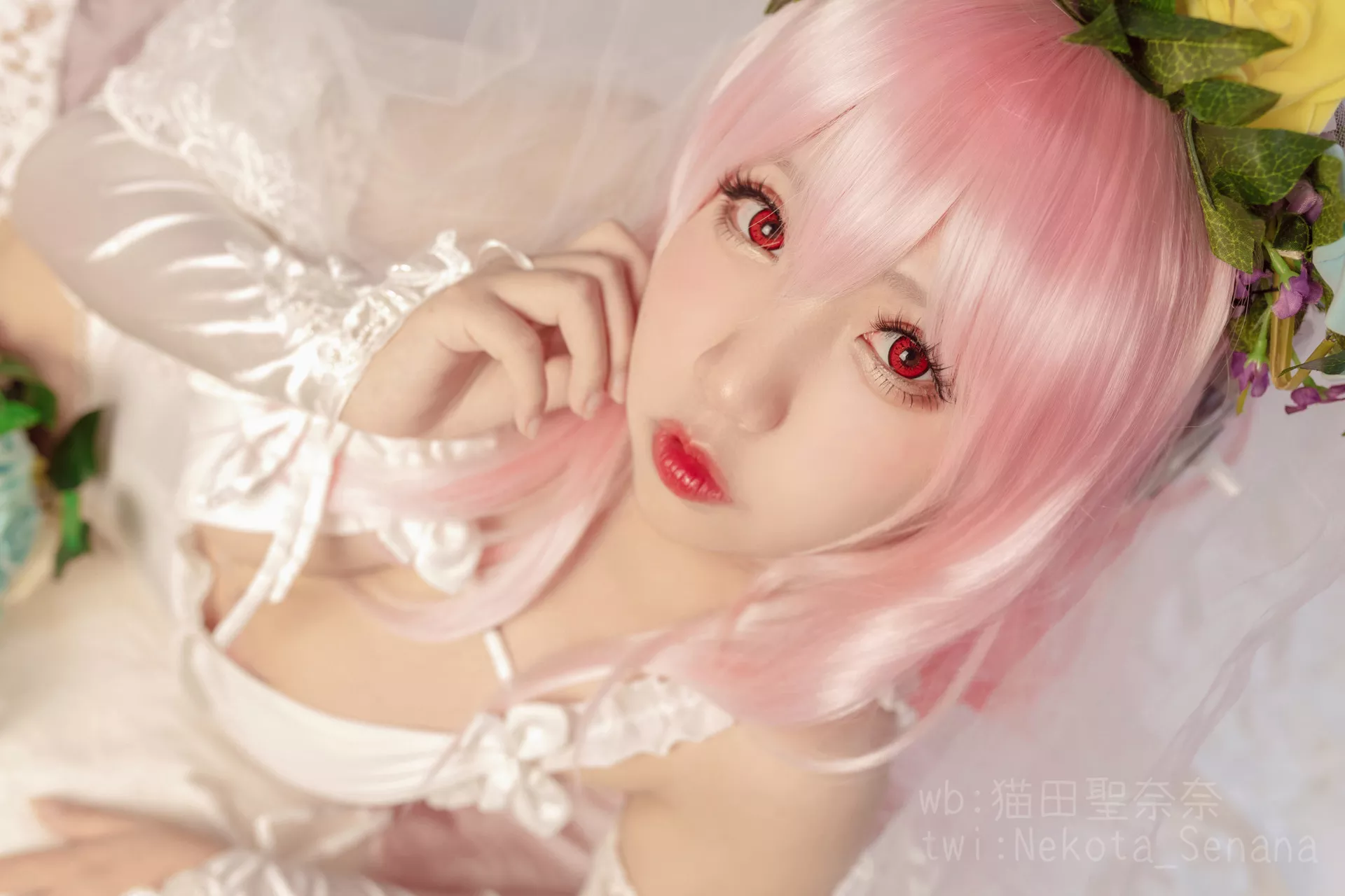 奈奈】 Sonico Cosplay 十周年 花嫁 福利 佳人 【猫田圣 索尼子 Super