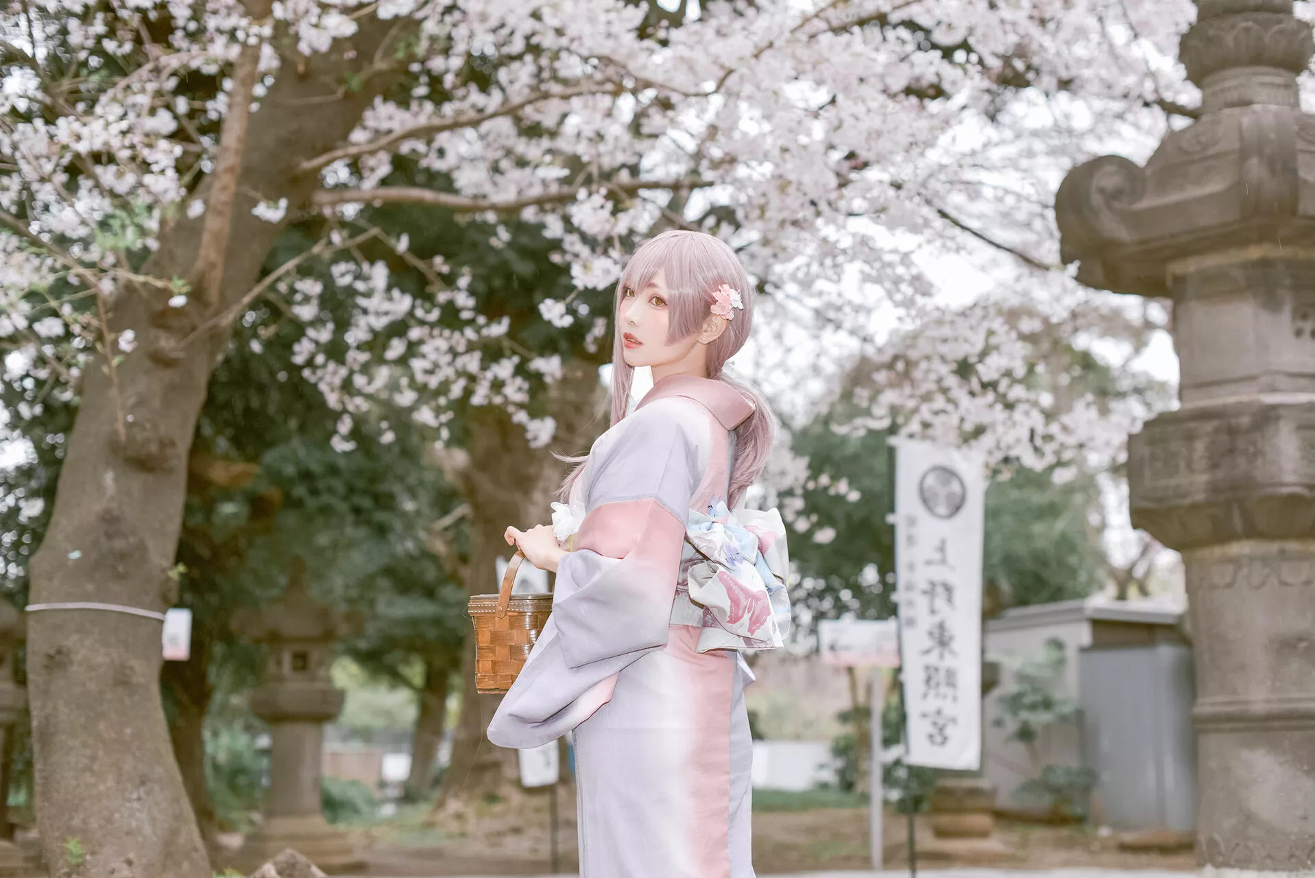 佳人 Ver. 2021 No 福利 Cosplay 【Ely】 Girl Sakura�@ Kimo