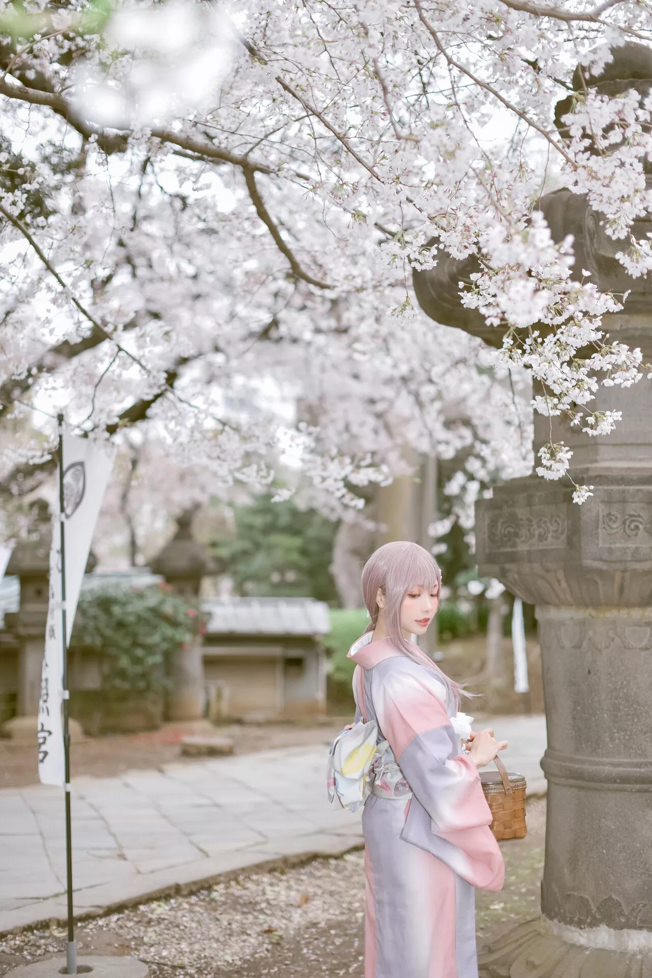 佳人 Ver. 2021 No 福利 Cosplay 【Ely】 Girl Sakura�@ Kimo