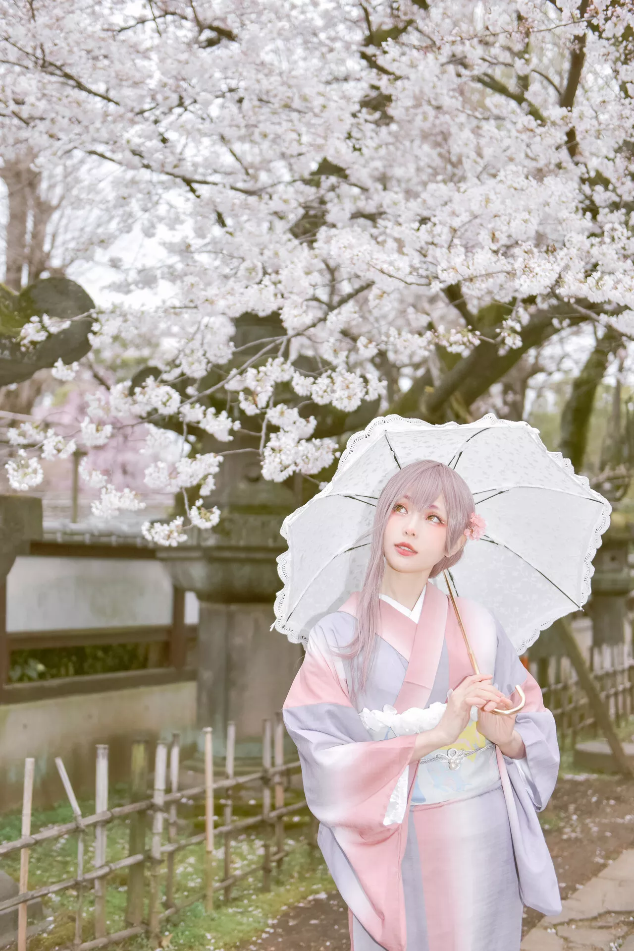 佳人 Ver. 2021 No 福利 Cosplay 【Ely】 Girl Sakura�@ Kimo
