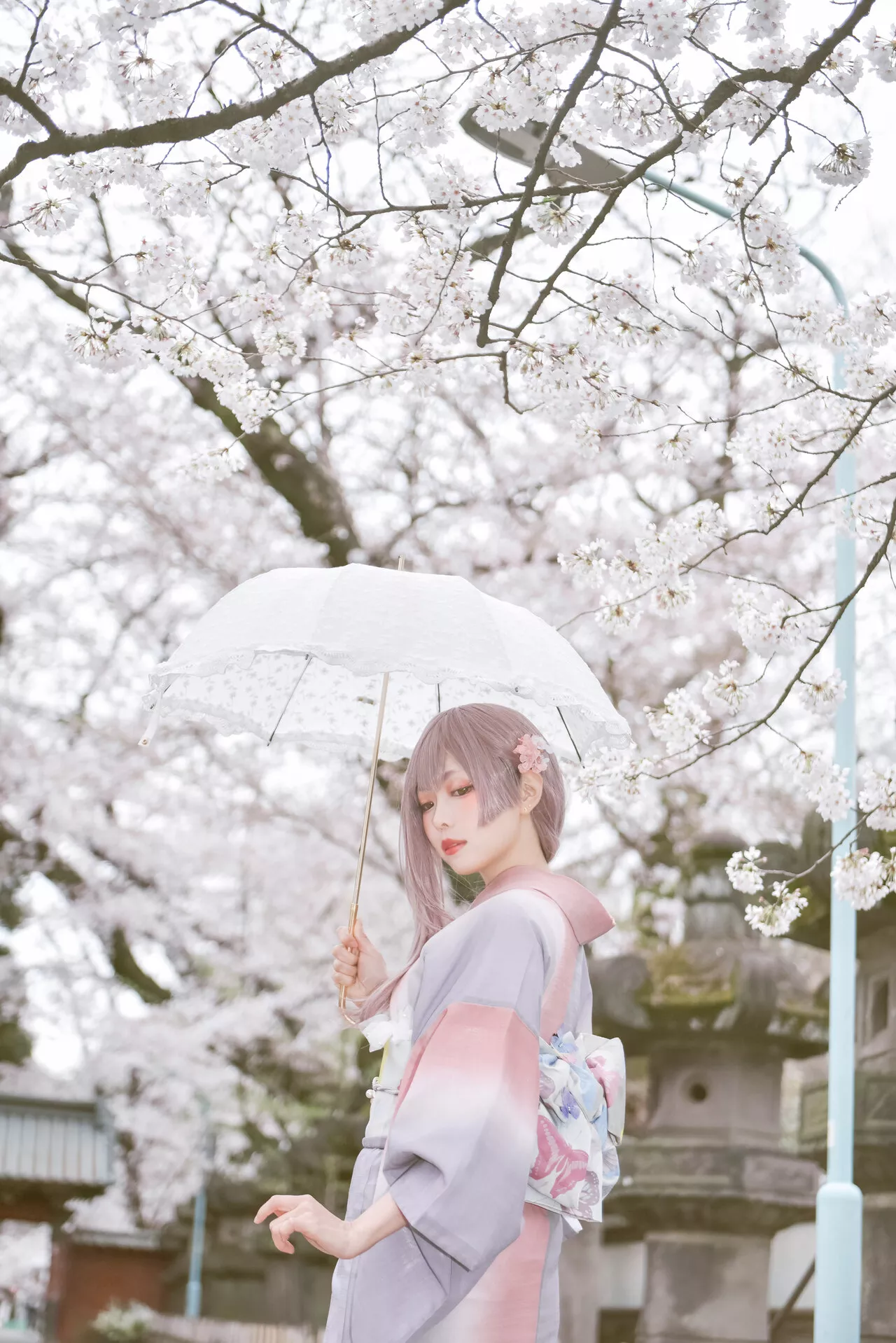 佳人 Ver. 2021 No 福利 Cosplay 【Ely】 Girl Sakura�@ Kimo