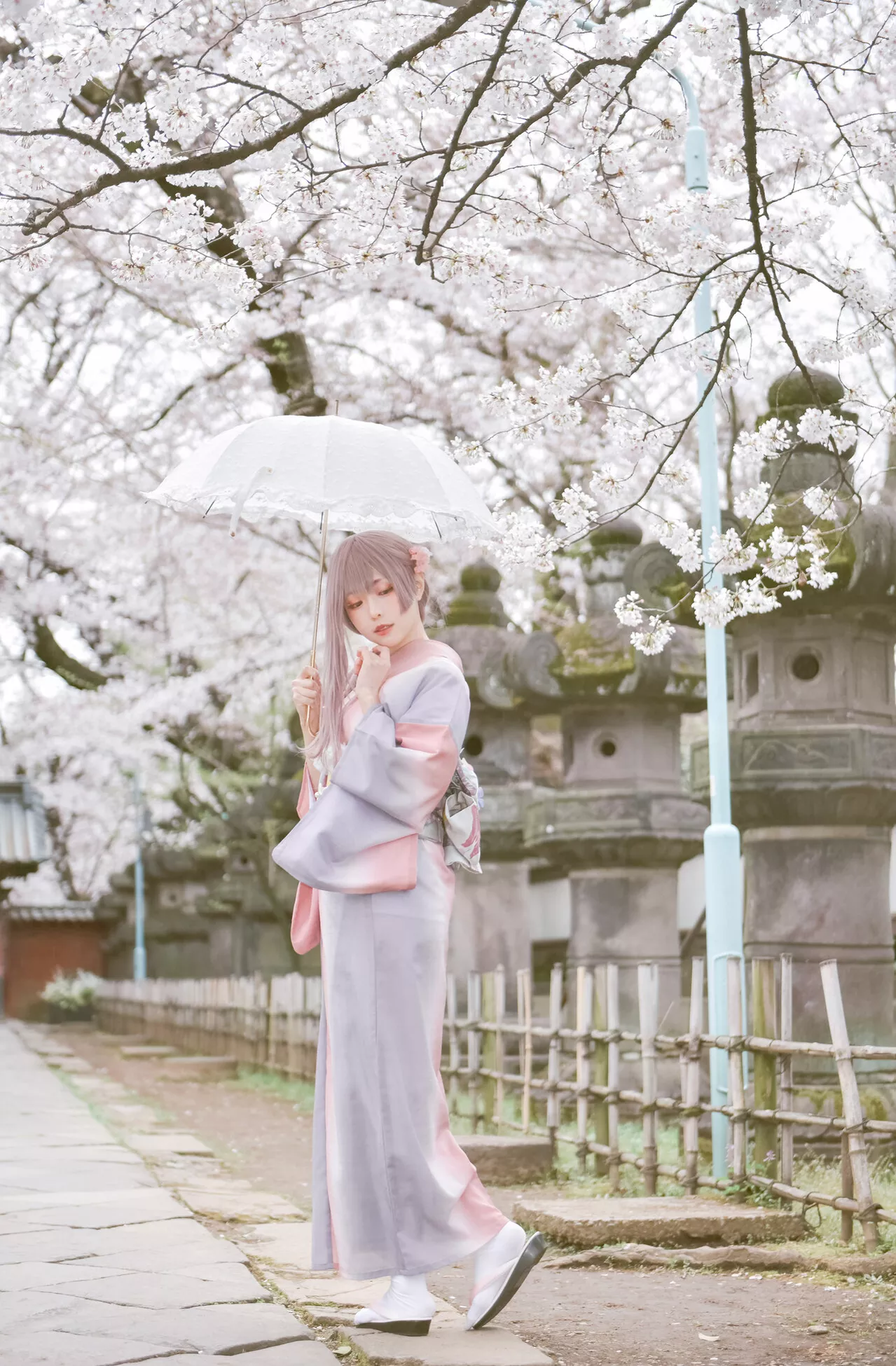 佳人 Ver. 2021 No 福利 Cosplay 【Ely】 Girl Sakura�@ Kimo