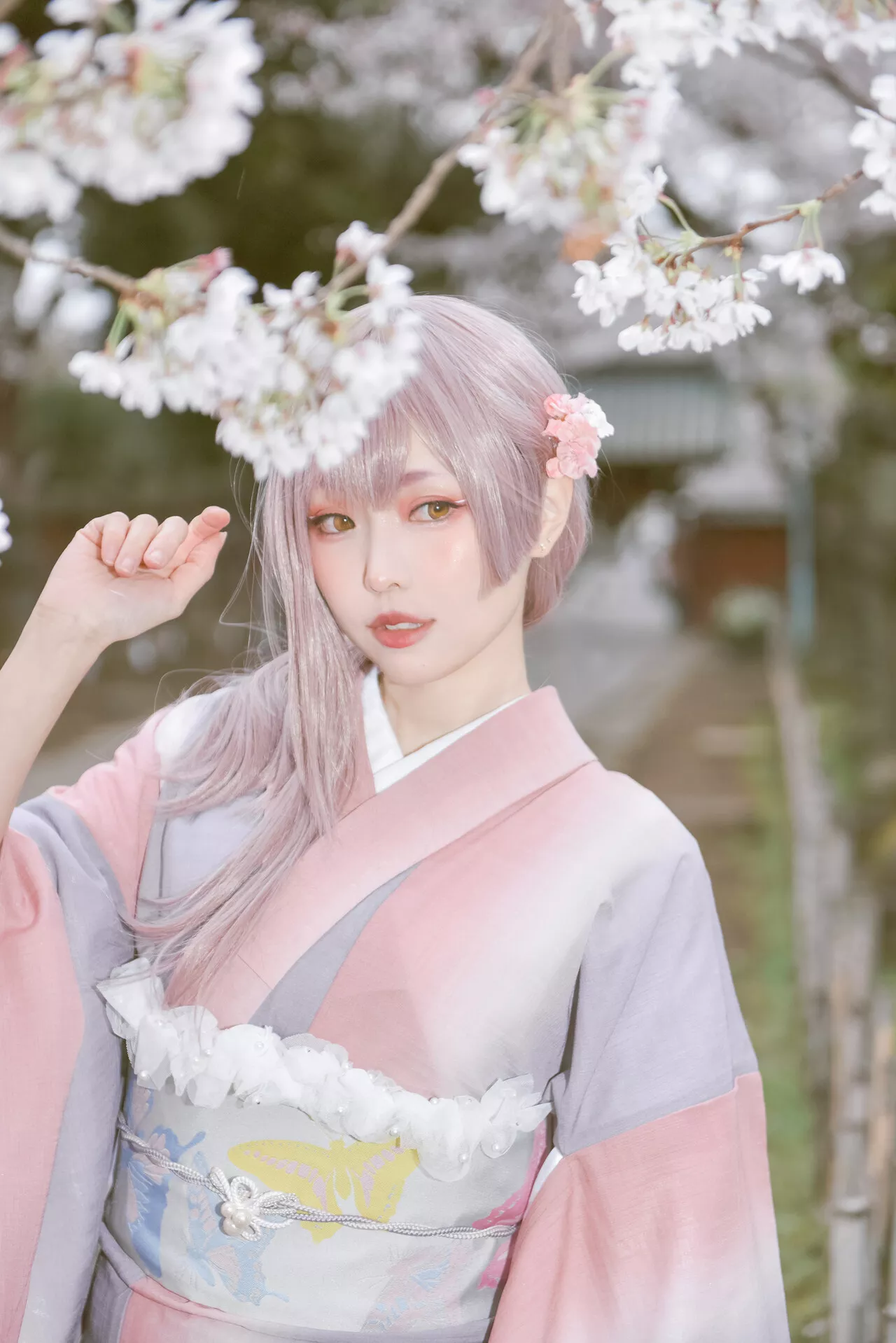 佳人 Ver. 2021 No 福利 Cosplay 【Ely】 Girl Sakura�@ Kimo