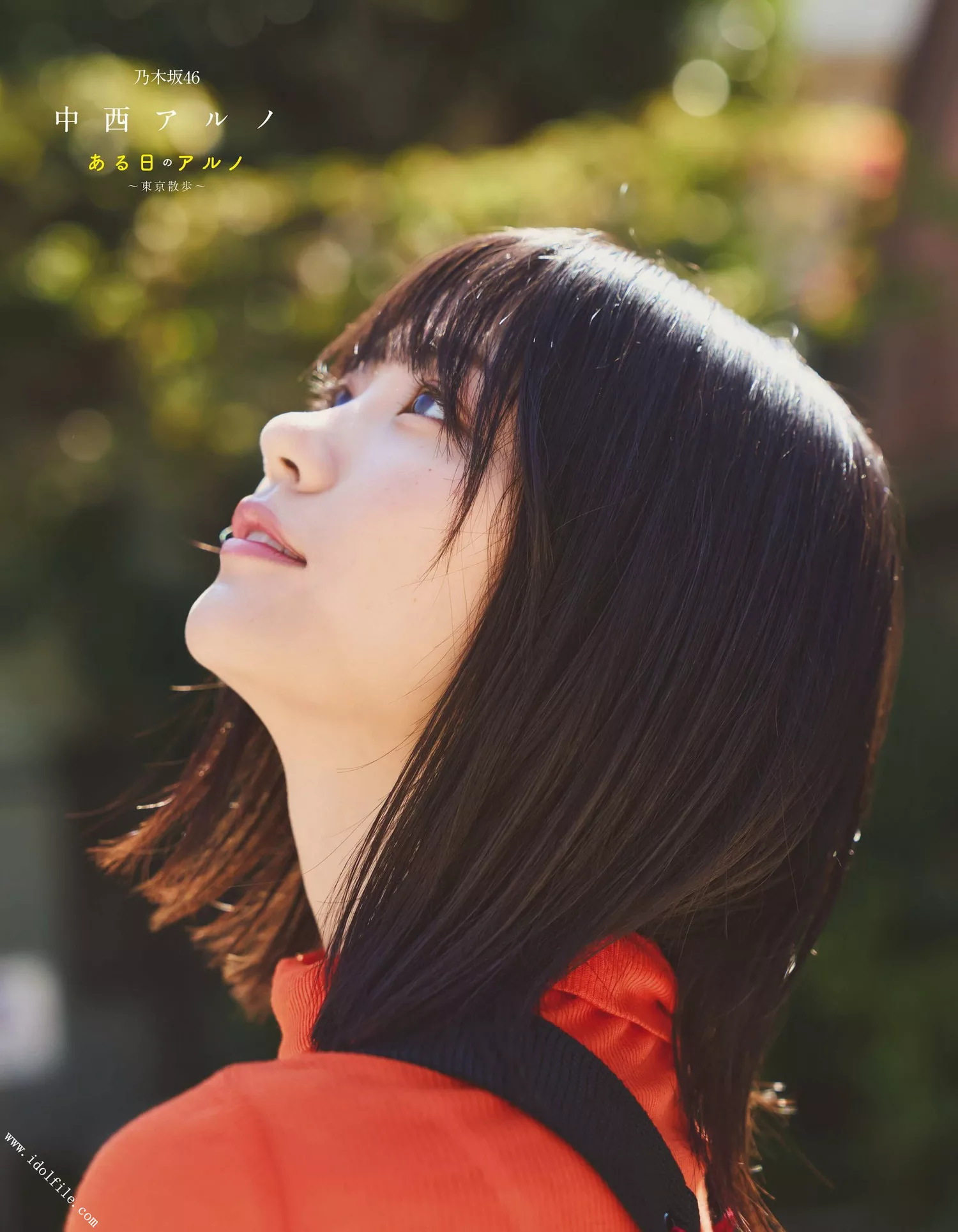 日本 Aru 中西Ex 2022.11 杂志摄影 2022年11月号) (EX大� No Taishu Nakanishi