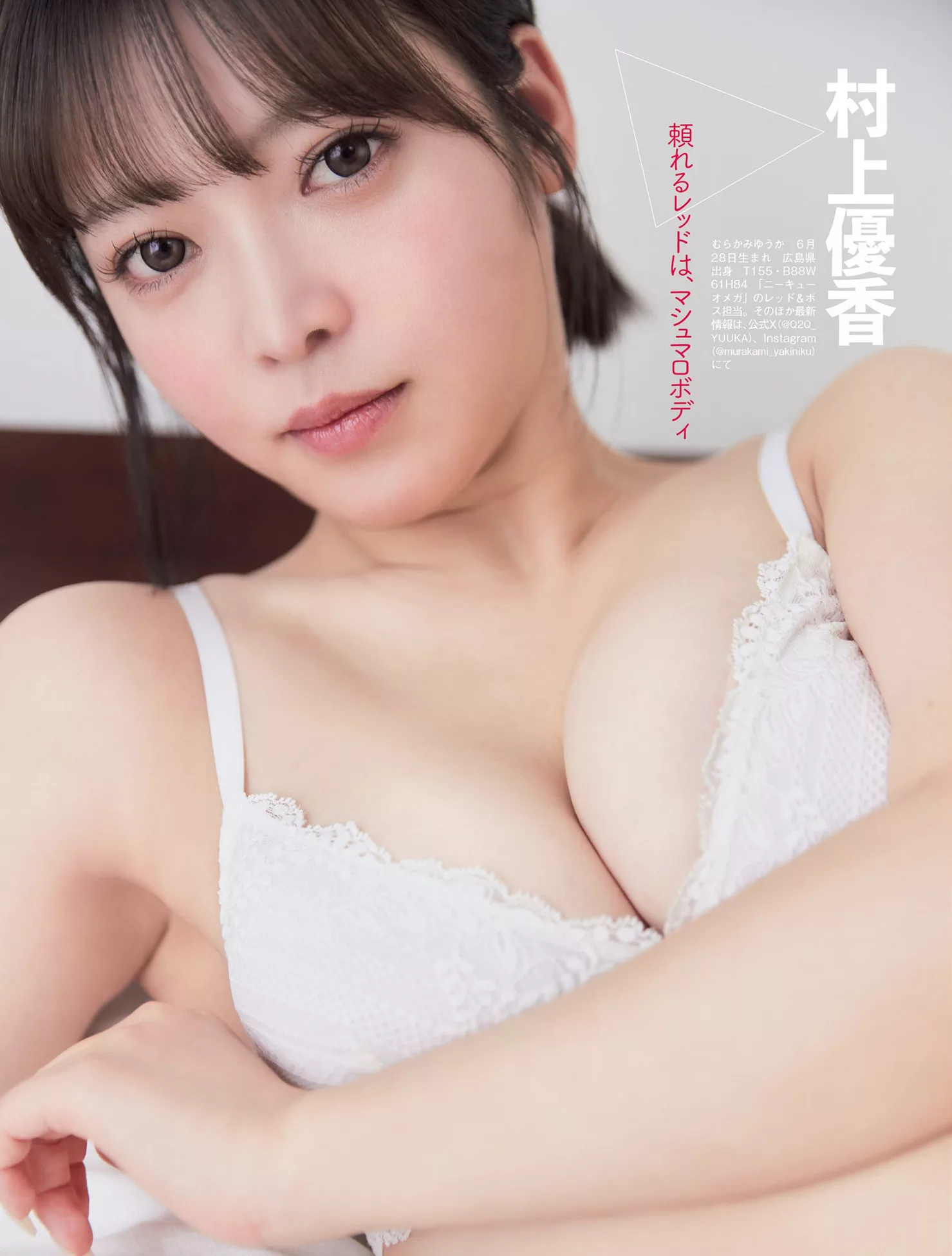 ( 艳模 FLASH 佳人 日本 贵宾大幅 优质摄影写真 ) 摄影像片