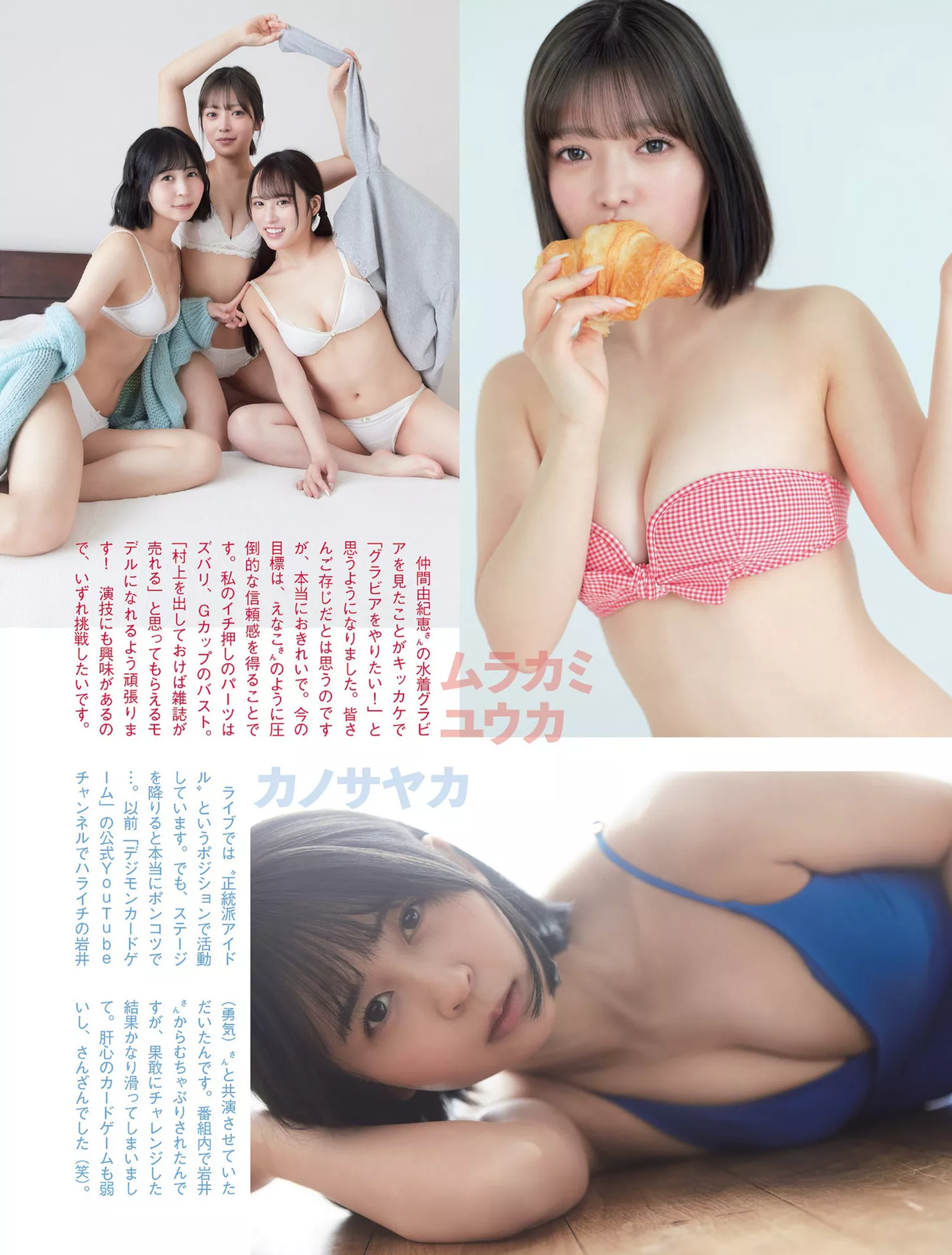 ( 艳模 FLASH 佳人 日本 贵宾大幅 优质摄影写真 ) 摄影像片