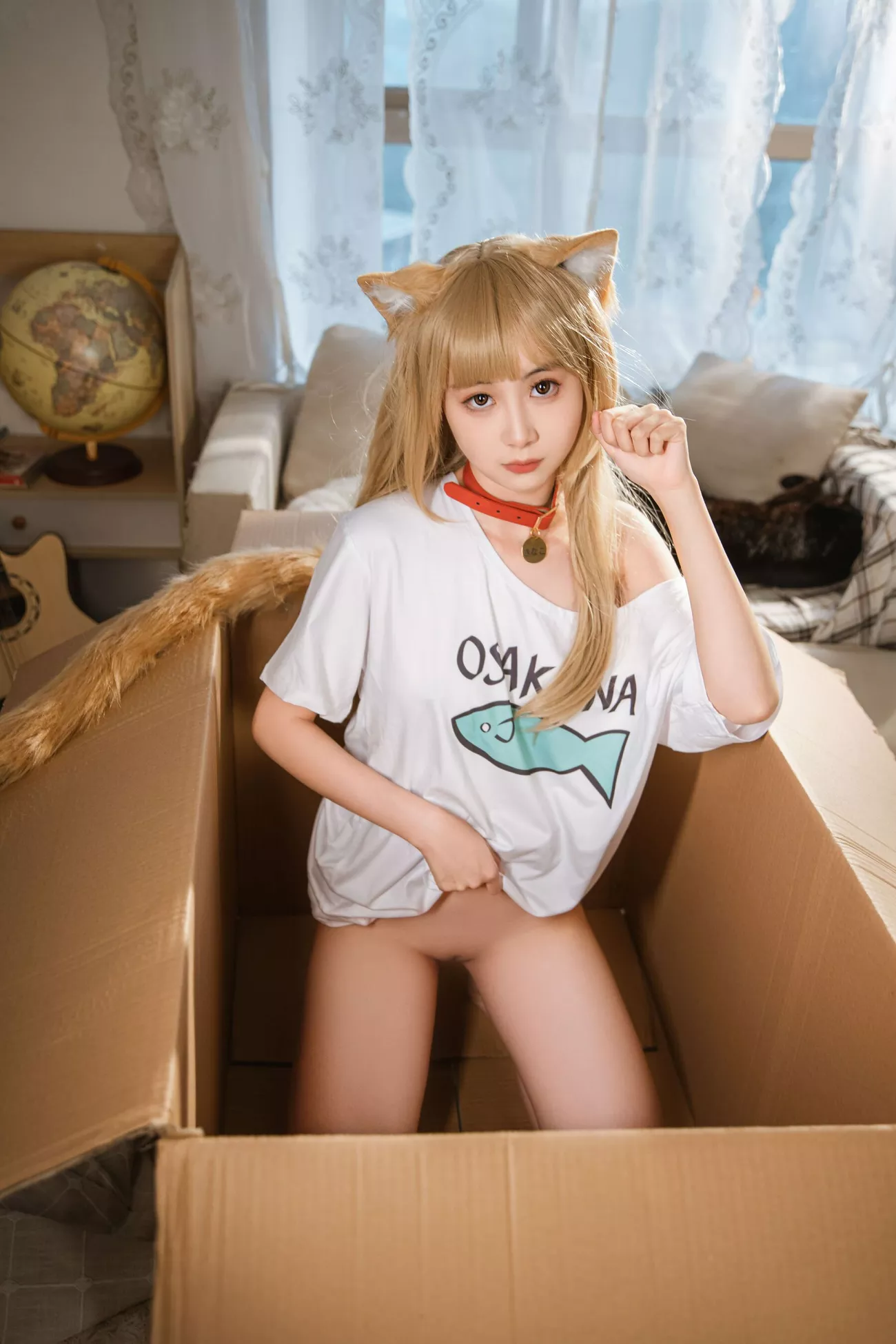 kinngyo《猫Cat》 金鱼 高画质相片组图
