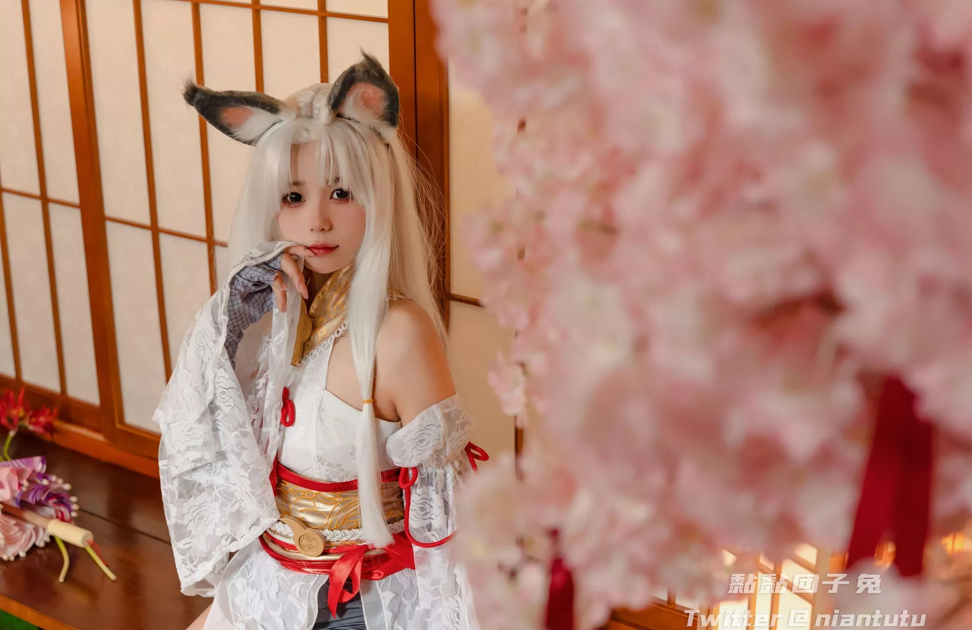 黏黏 高质摄影艺术 团子 兔《永劫胡桃》