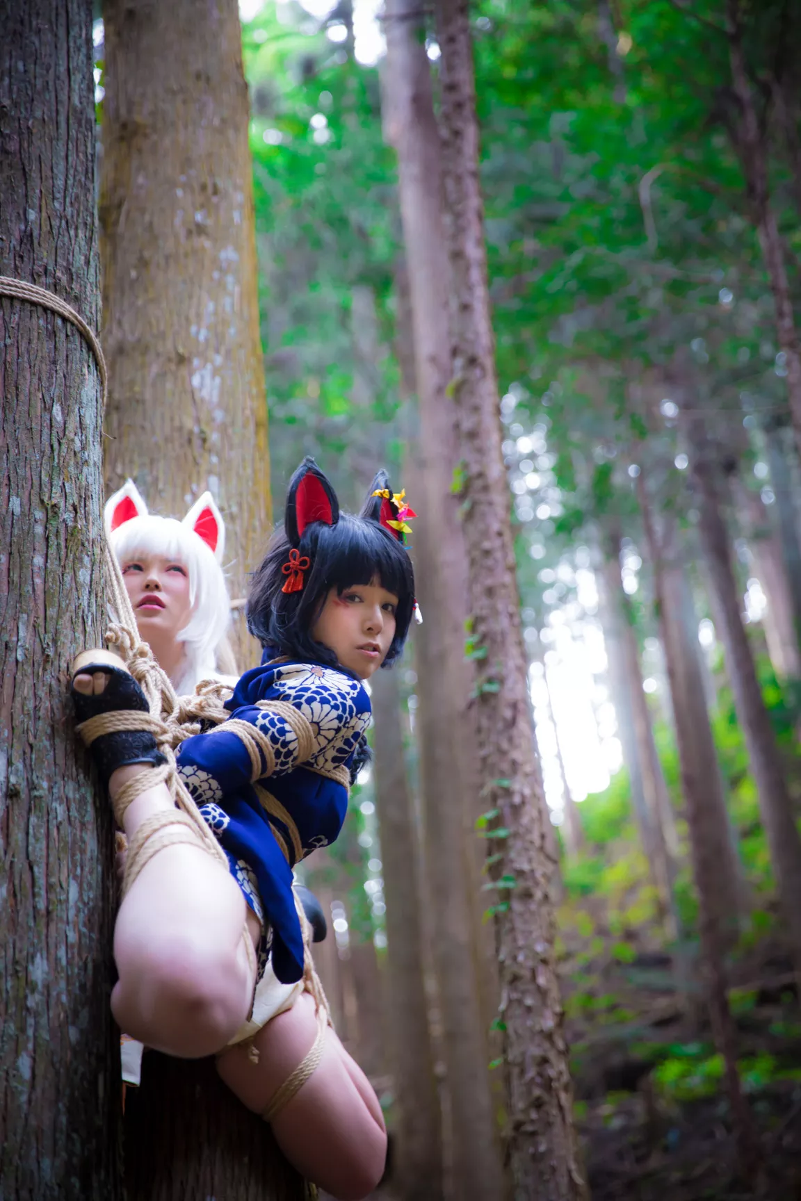 Cosplay 媒体圣女 【BOKUKO】 缚狐 Fox 福利 Tied 丽人