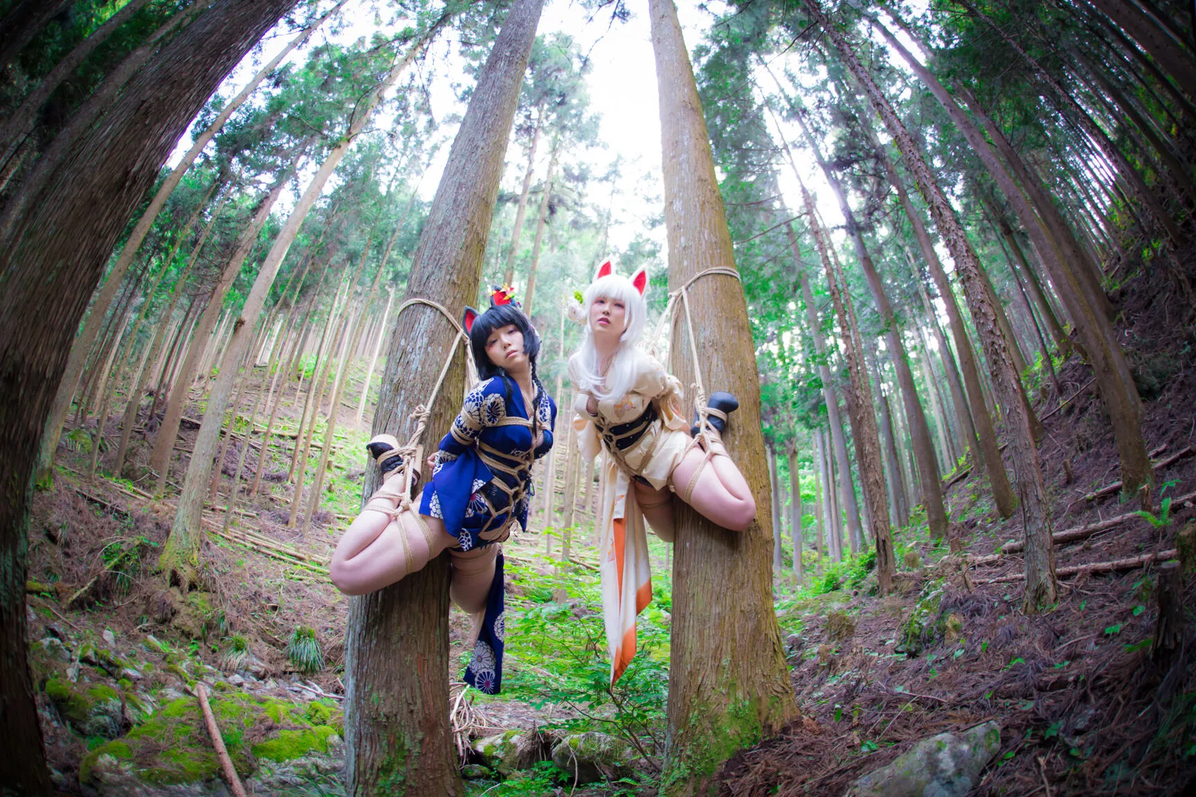 Cosplay 媒体圣女 【BOKUKO】 缚狐 Fox 福利 Tied 丽人