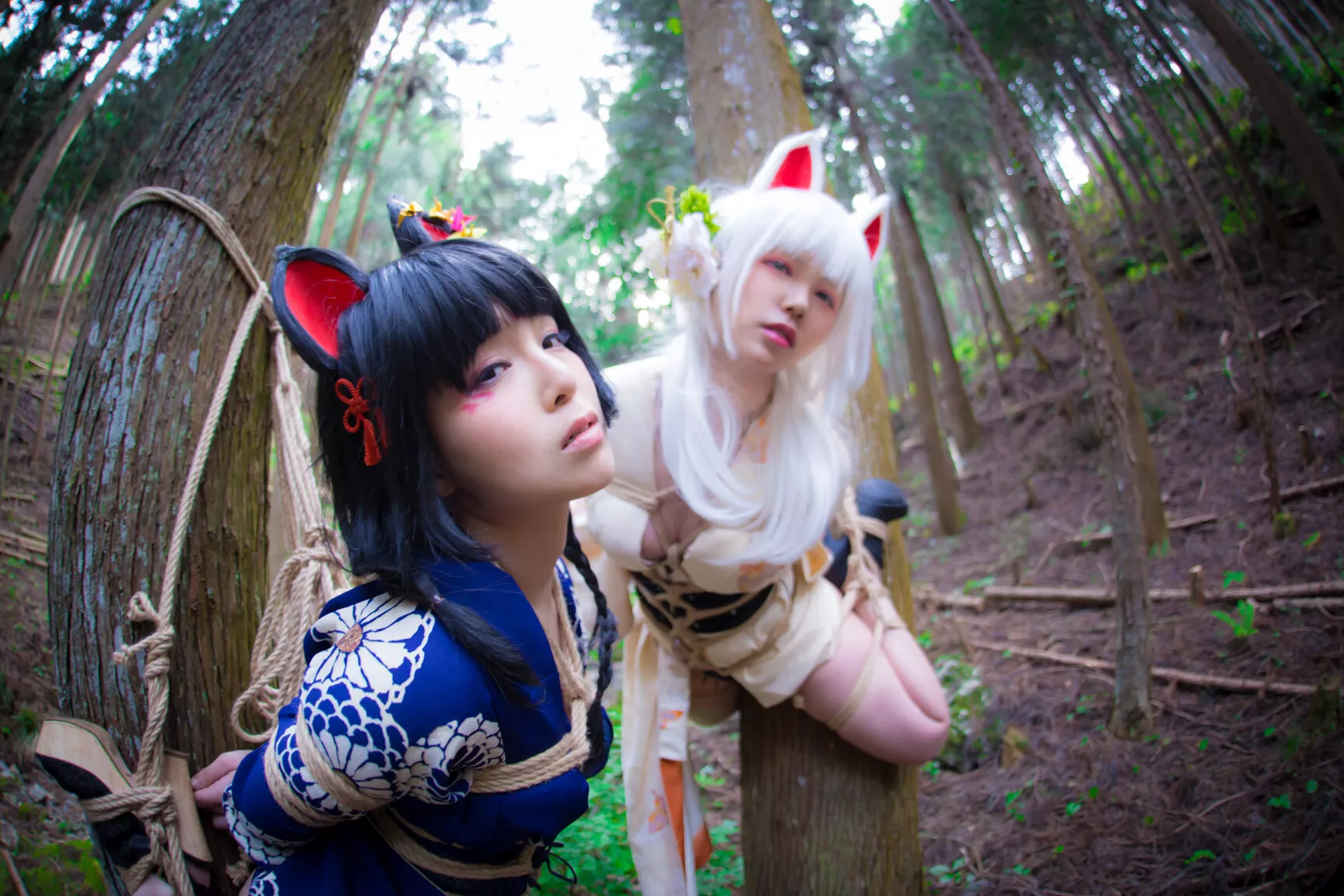 Cosplay 媒体圣女 【BOKUKO】 缚狐 Fox 福利 Tied 丽人