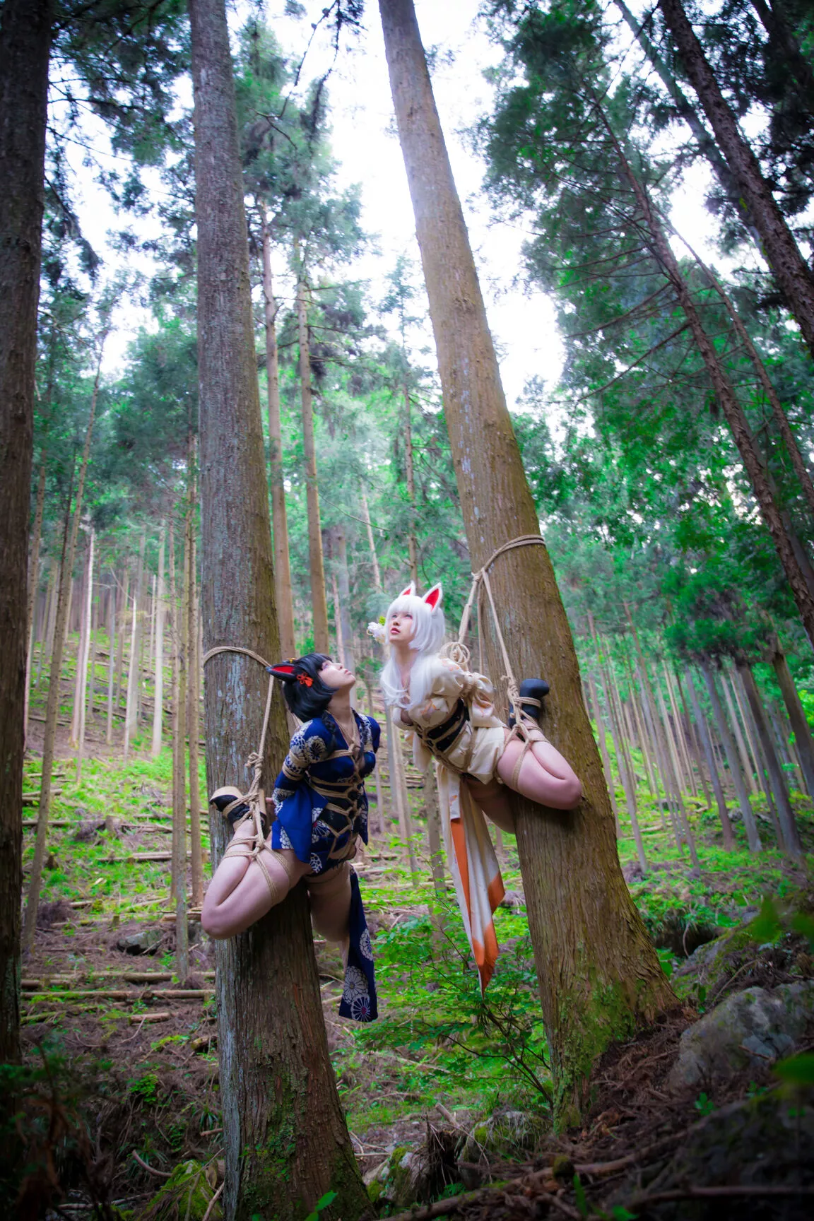 Cosplay 媒体圣女 【BOKUKO】 缚狐 Fox 福利 Tied 丽人