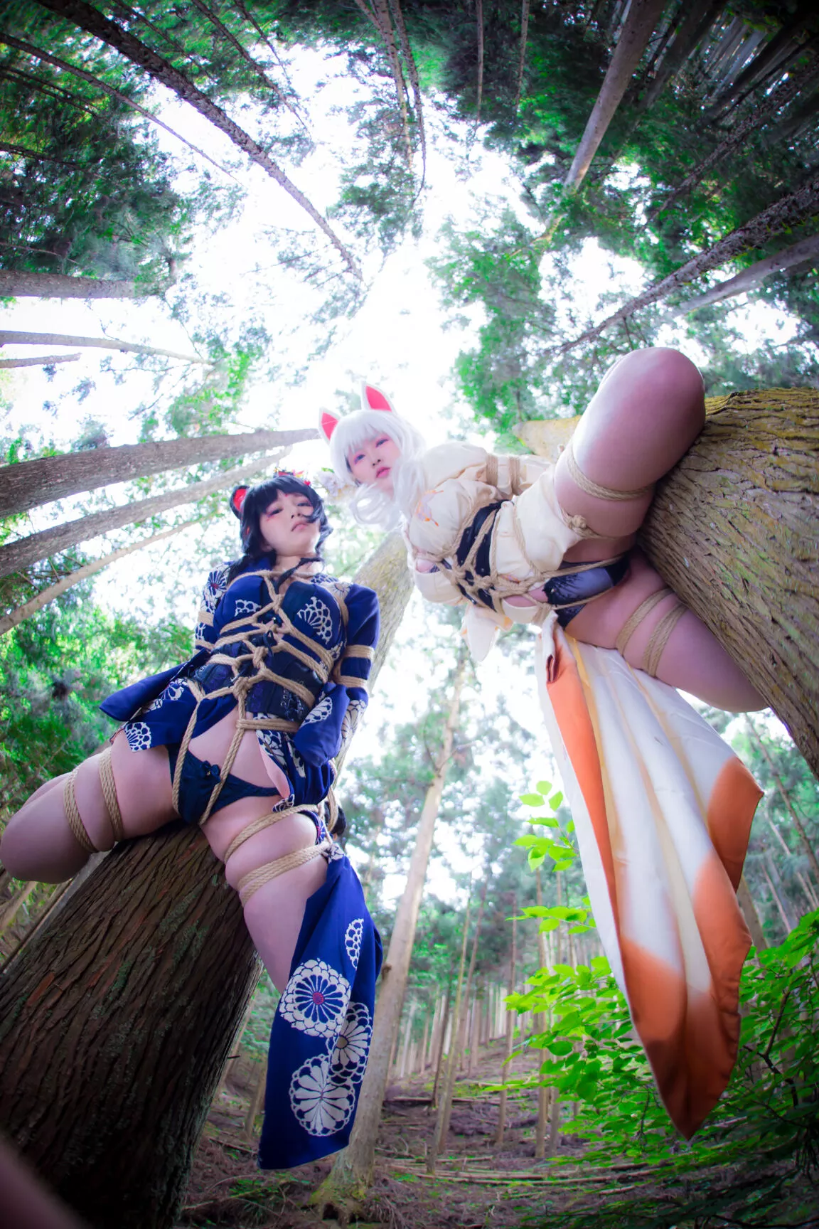 Cosplay 媒体圣女 【BOKUKO】 缚狐 Fox 福利 Tied 丽人