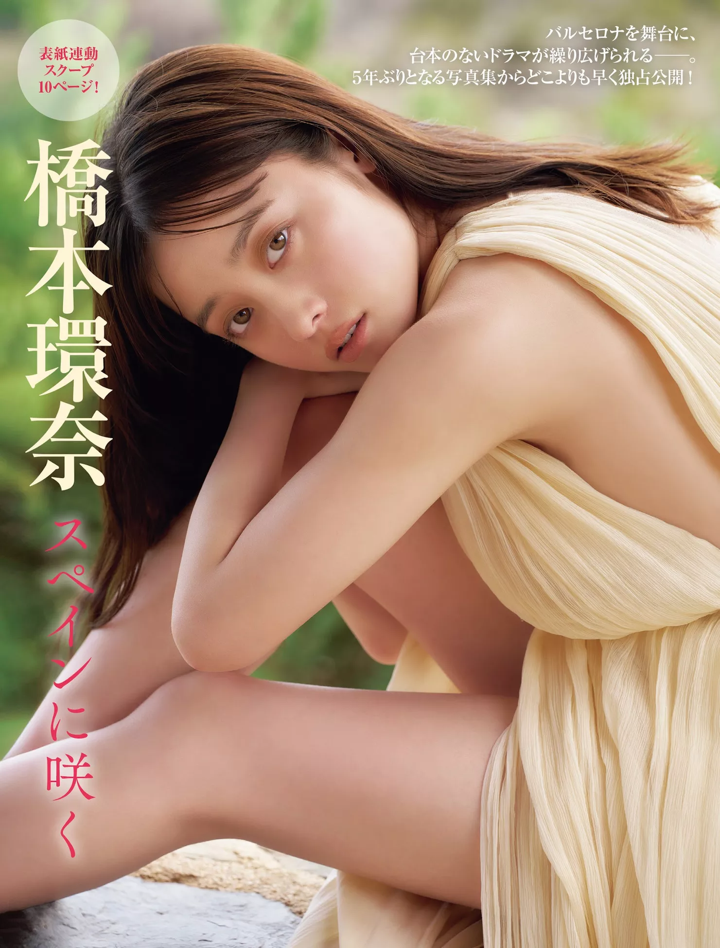 高端中幅 艺术图 Hashimoto 仙女 日本 ( Kanna FRIDAY ) 桥本�h奈