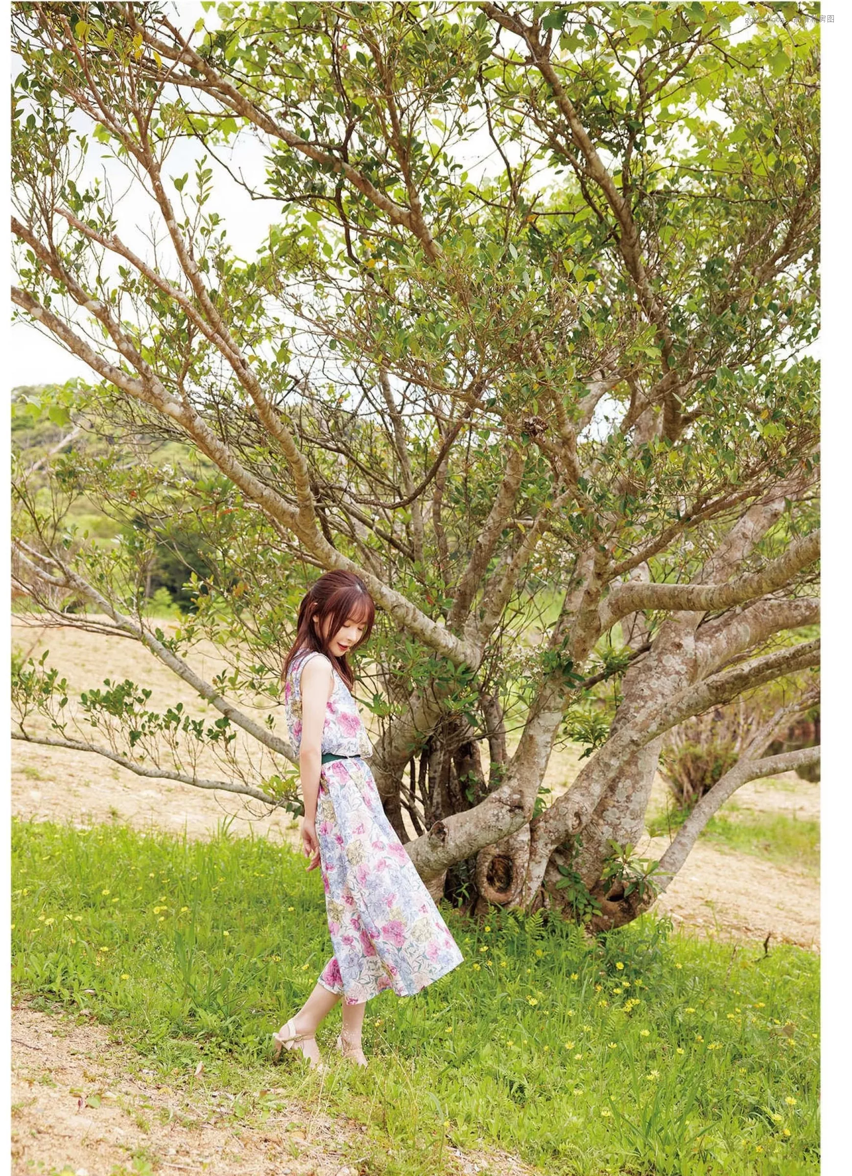 女神 桃乃 日本 木香奈《はちあわせ》 高清摄影摄影