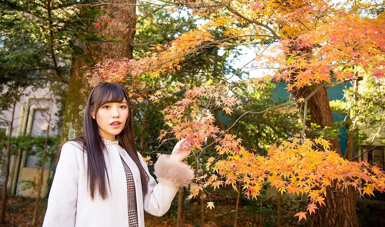 美人 Calendar 桥本ありな Hashimoto Arina 高清摄影摄影 日本 每日一枚
