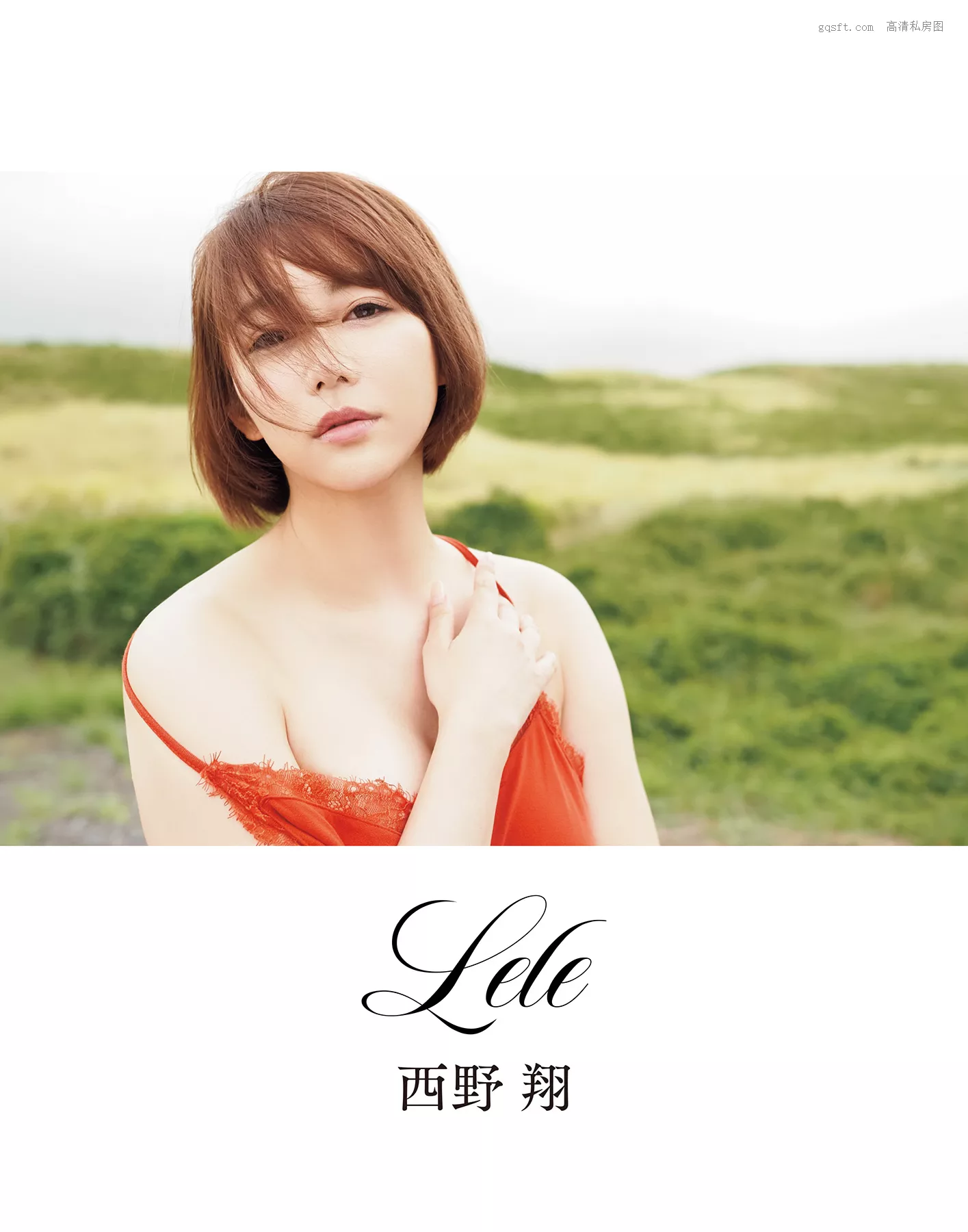 美人 优秀摄影艺术图 日本 《Lele》 西野翔