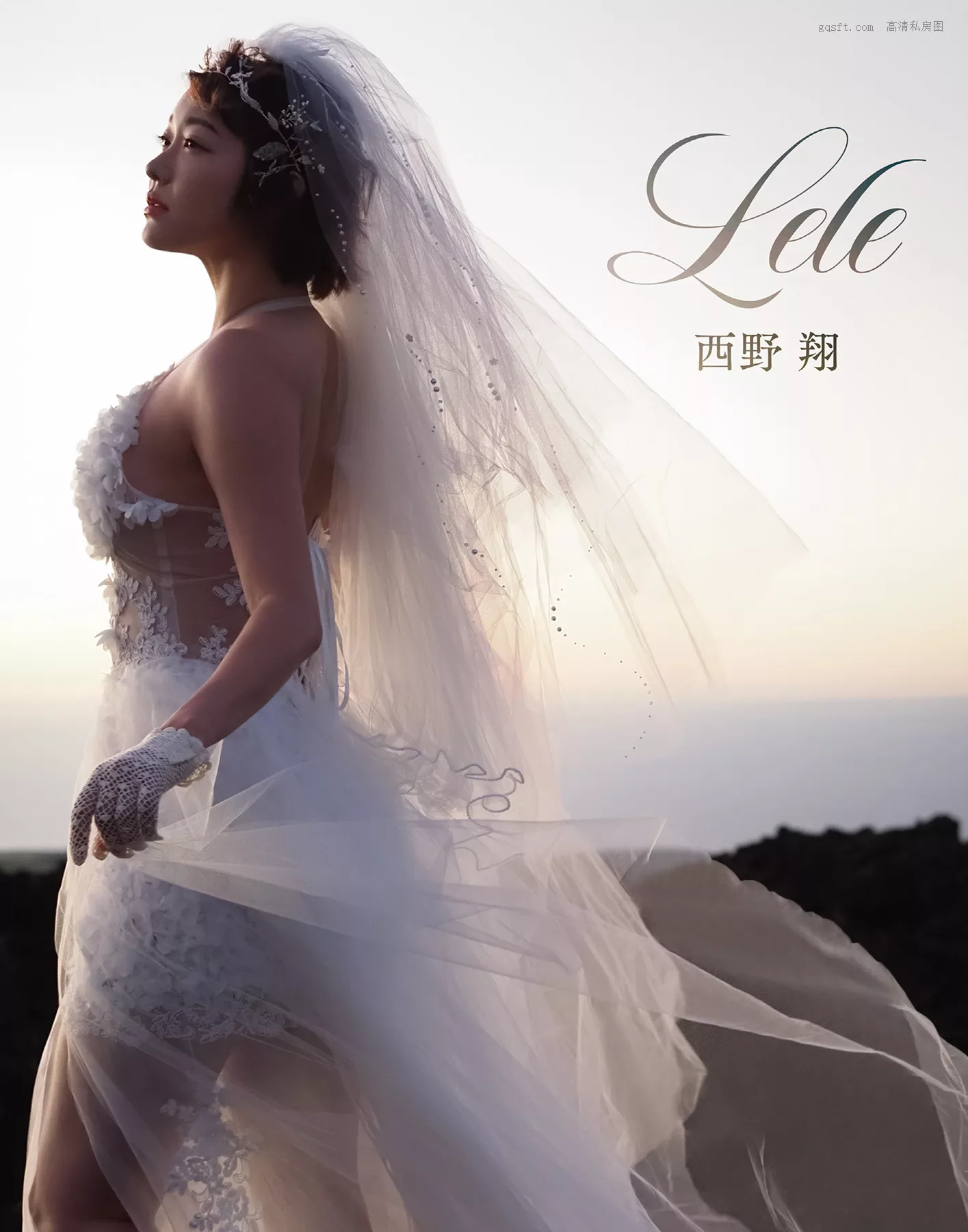 美人 优秀摄影艺术图 日本 《Lele》 西野翔