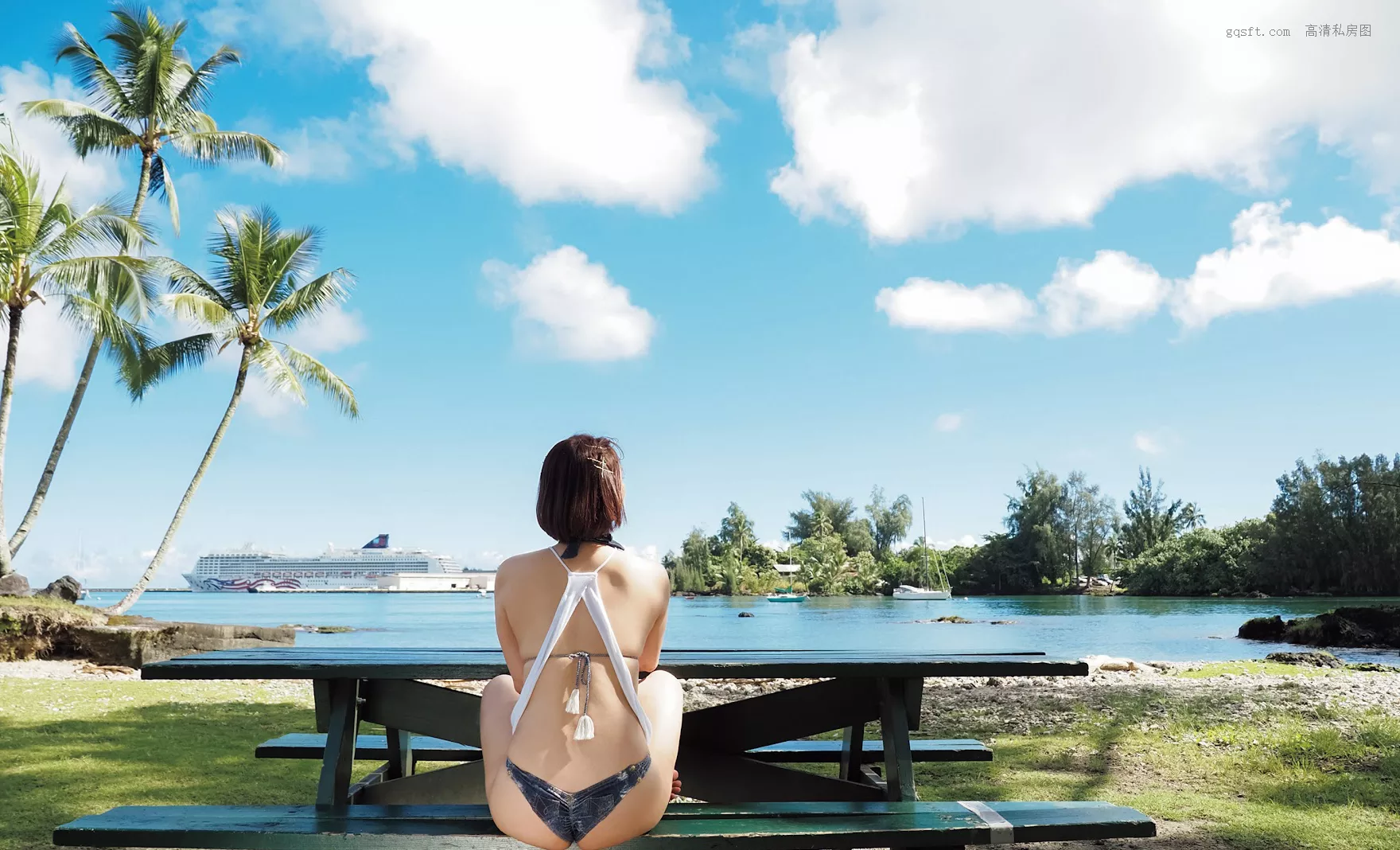 美人 优秀摄影艺术图 日本 《Lele》 西野翔