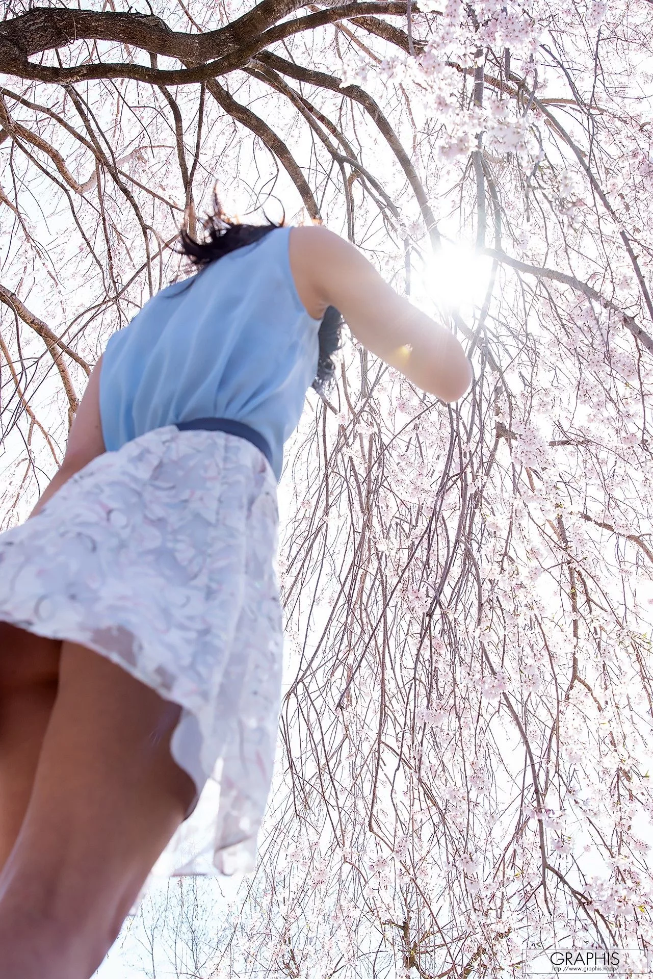 Special Graphis】 写真 Honjo 【日本 Biei」 本庄铃 全集修正 Suzu 「Deus