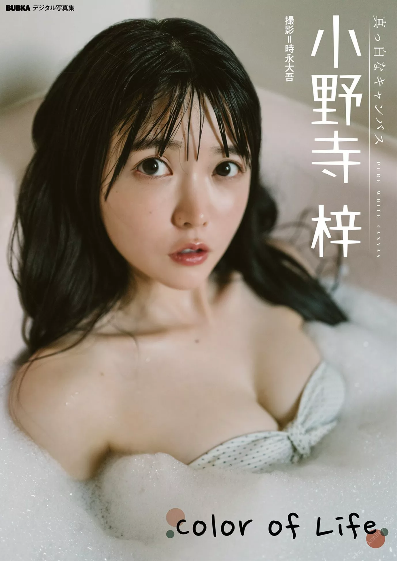 Azusa 全集修正 Nodera 小野寺梓BUBKA写真集 O of Life」 「Color