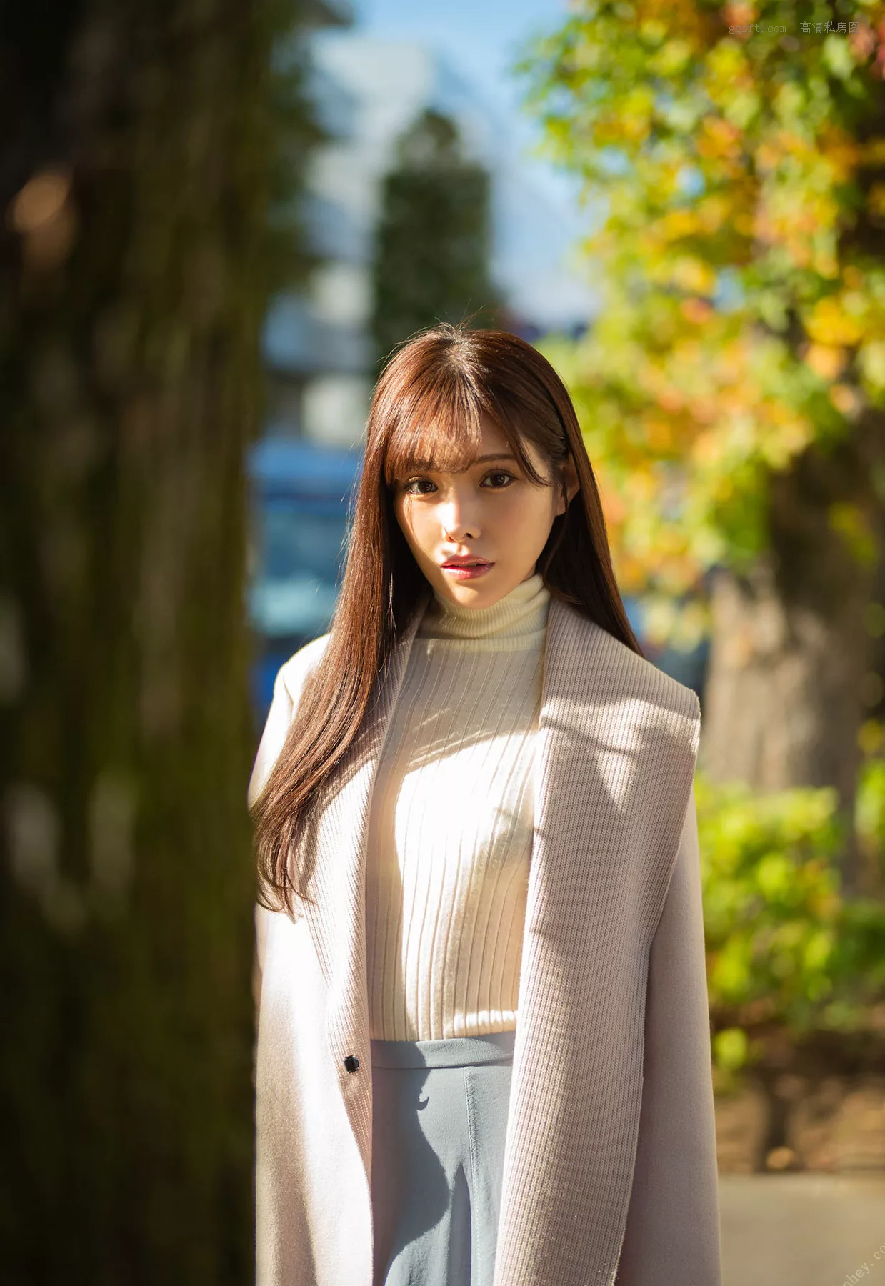 超清艺术图摄影 新有菜《周刊艺术图集》 日本 仙女