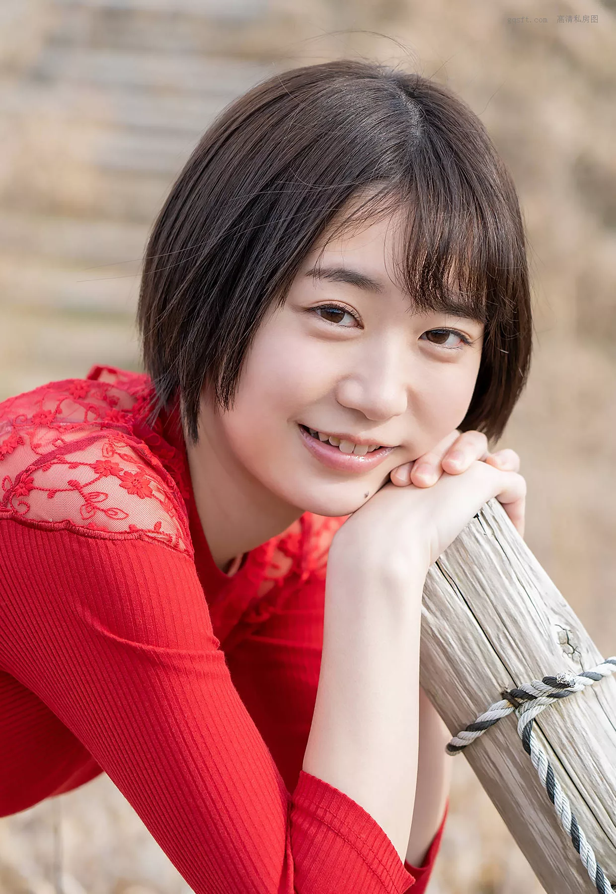 美女 高质艺术艺术图 全集修正 日本 Shiho Fujie
