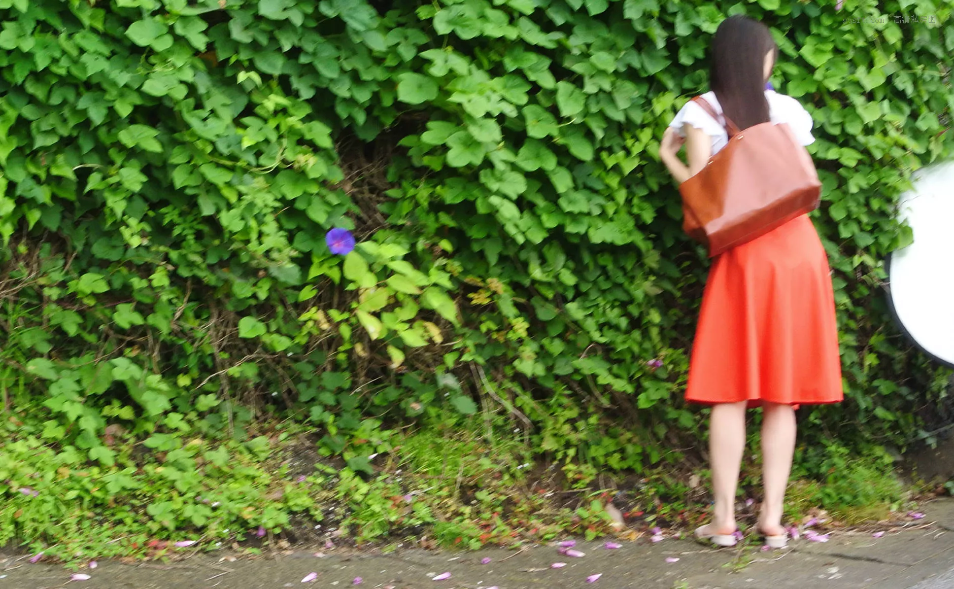 日本 Shoko Takahashi 高品质摄影写真 美女