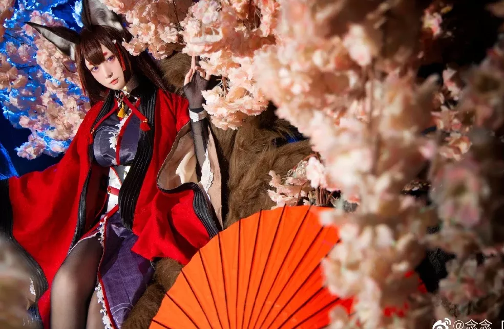 美女cosplay 念念_D (9P) 碧蓝航线 天城