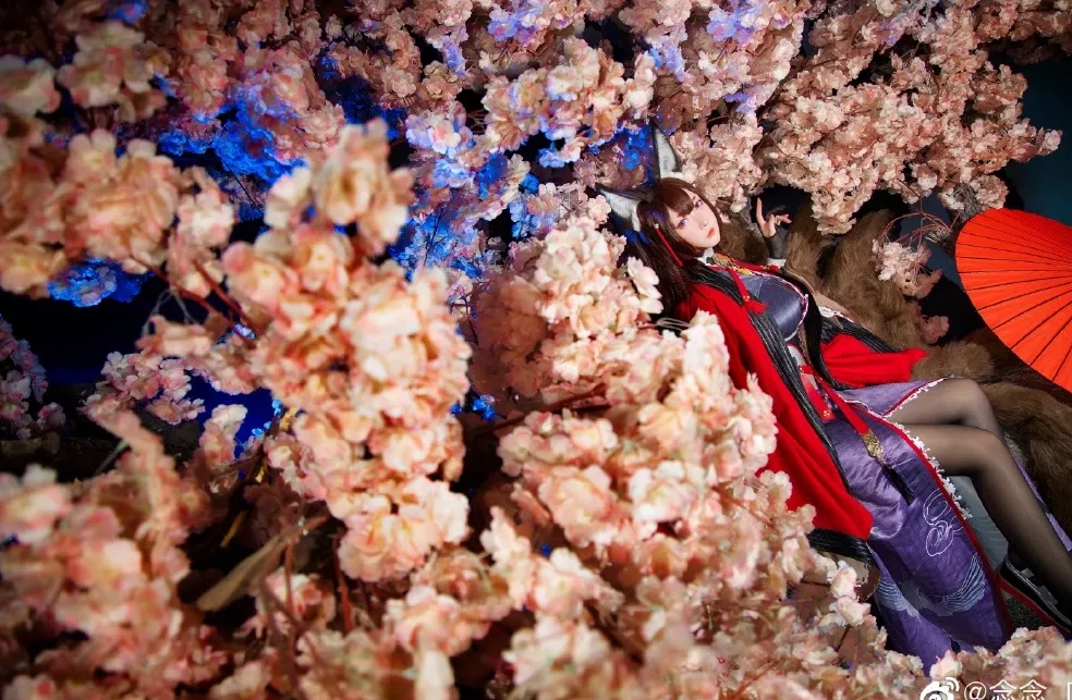 美女cosplay 念念_D (9P) 碧蓝航线 天城