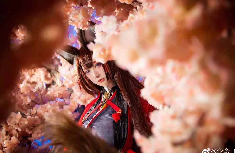 美女cosplay 念念_D (9P) 碧蓝航线 天城