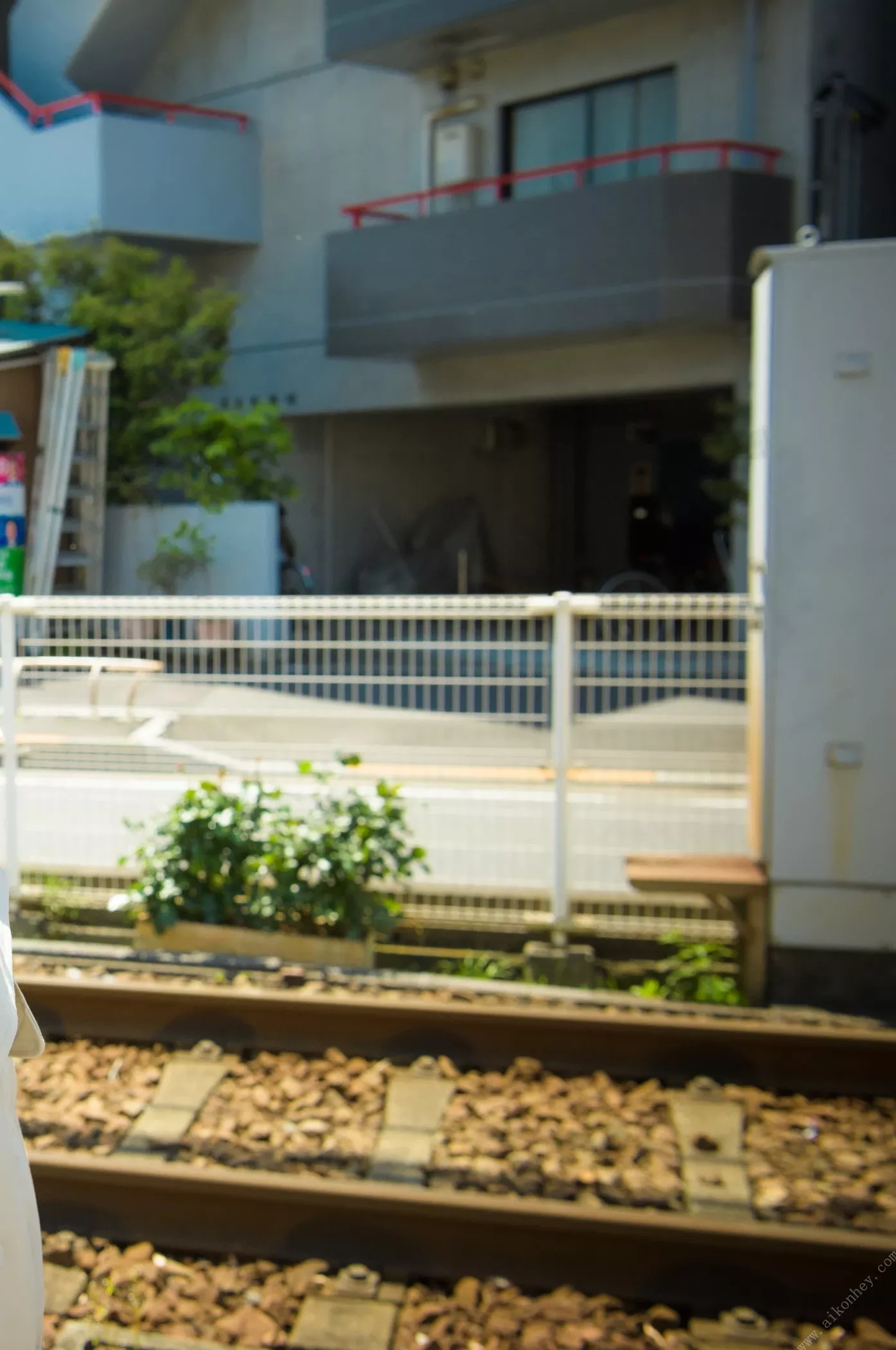 (127页) 小月兔~BRILLIANT_DAYS~_小月梅 【摄影集】